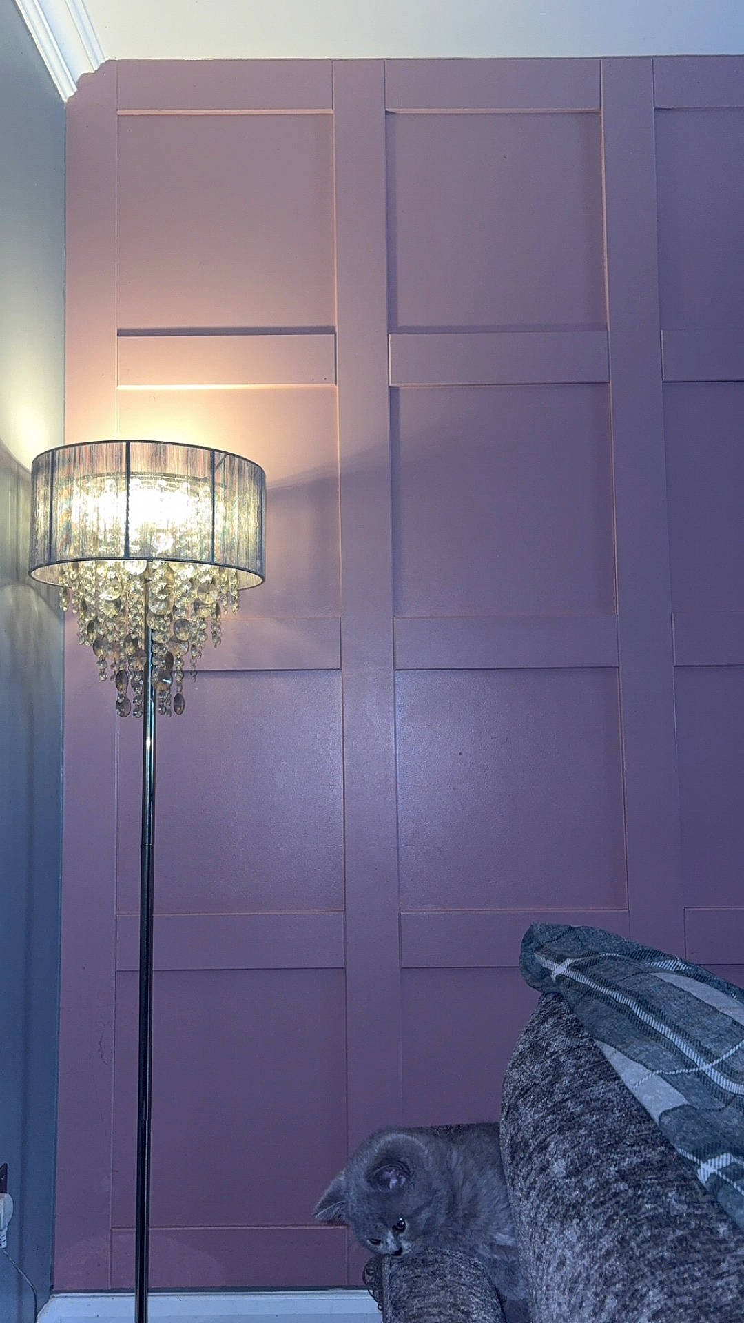 animal, chandelier, couch, cozy, curious, domestic_cat, floor_lamp, furniture, gray_cat, home, indoor, kitten, lamp, light, panel_wall, pet, purple_wall, resting, sofa, soft_light