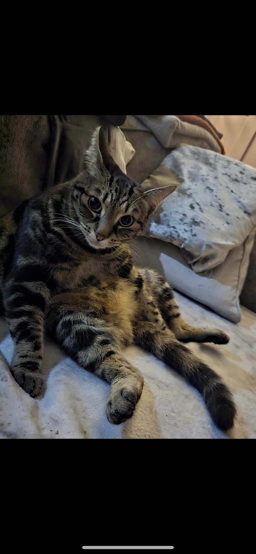 Nala