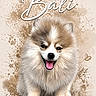 dog, fluffy, smiling, sitting, paint_splatter, paw_prints, text_overlay, cute, portrait, brown, white, fur, animal, pet, canine, happy, artistic, background, digital_art, illustration