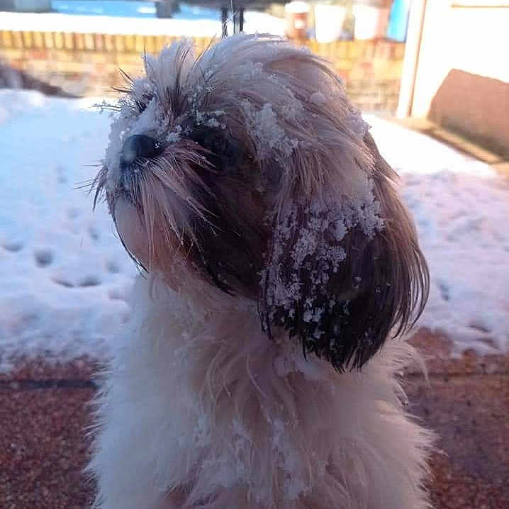 Zoë