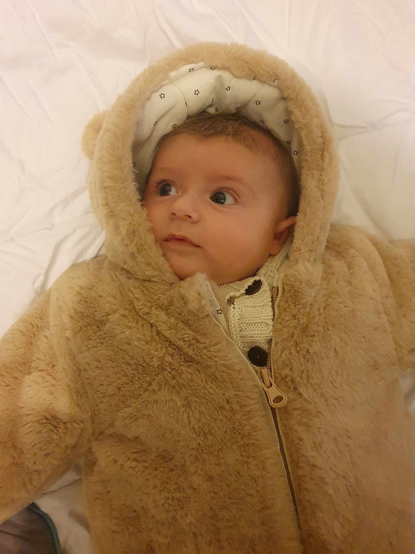 Loan a rejoint le concours — aidez-le/la à gagner de superbes lots ! baby, infant, newborn, fur_hood, hood, coat, zipper, knit_sweater, buttons, wide_eyes, cheeks, cute, cozy, soft_texture, bed, blanket, portrait, indoor, gaze, ears
