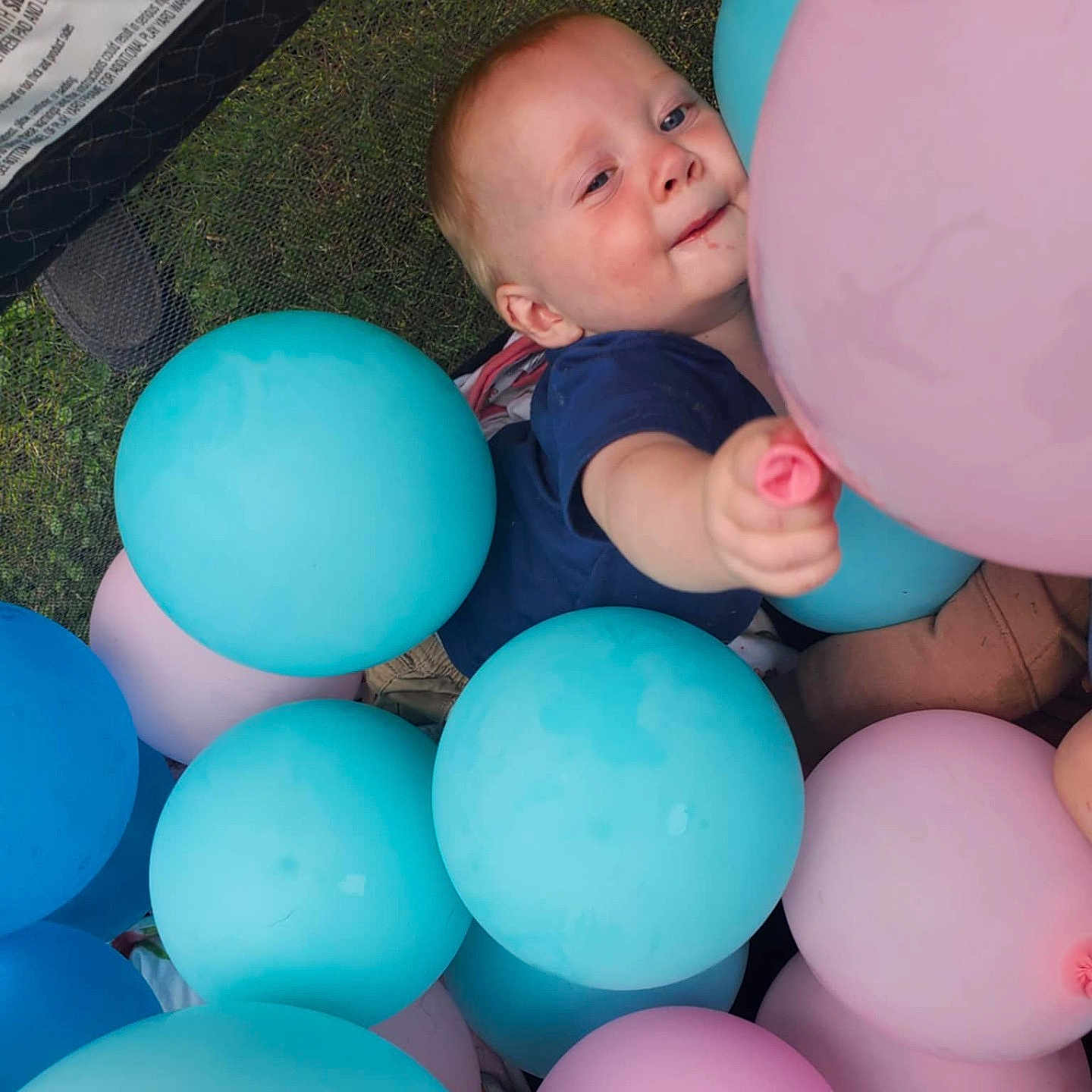 Michael is registered to the contest to win money with this photo: baby, balloons, blue_balloons, celebration, child, colorful, cute, fun, grass, happy, infant, joy, outdoor, party, person, pink_balloons, playful, reaching, smiling, toddler