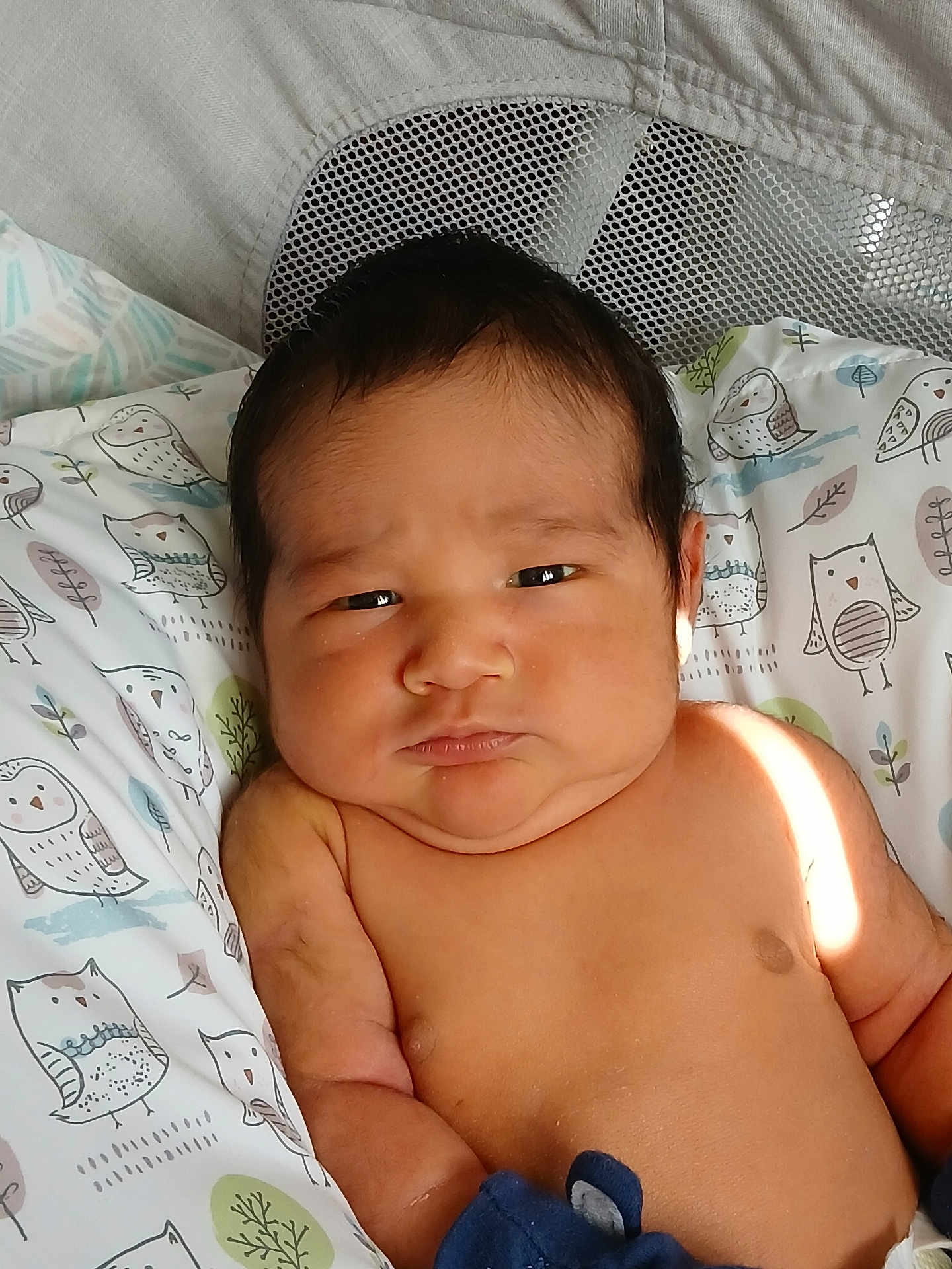 Adrian is registered to the contest to win money with this photo: baby, infant, face, skin, expression, pillow, owl_pattern, light, shadow, arm, chest, indoors, newborn, cute, child, person, portrait, resting, soft, young