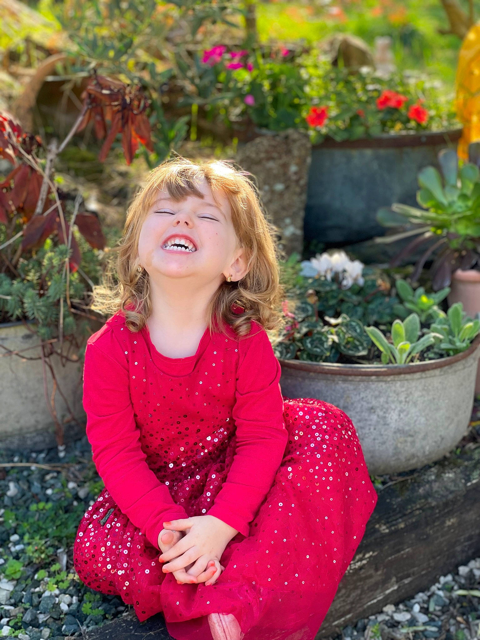 Romy a rejoint le concours — aidez-le/la à gagner de superbes lots ! botany, dress, eye, fawn, flowerpot, grass, hair, hairstyle, happy, houseplant, lip, magenta, people_in_nature, person, photograph, pink, plant, sleeve, summer, toddler