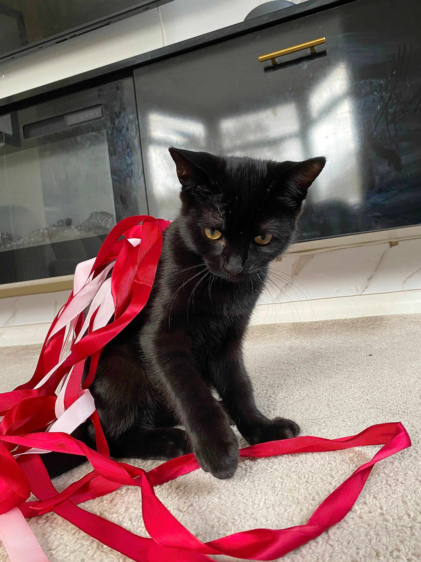 Theodore joined the competition — help win amazing prizes! black_cat, cat, ribbons, red_ribbons, pink_ribbons, carpet, indoor, curious_cat, pet, feline, playful, animal, fur, whiskers, ears, paw, cabinet, reflection, floor, home