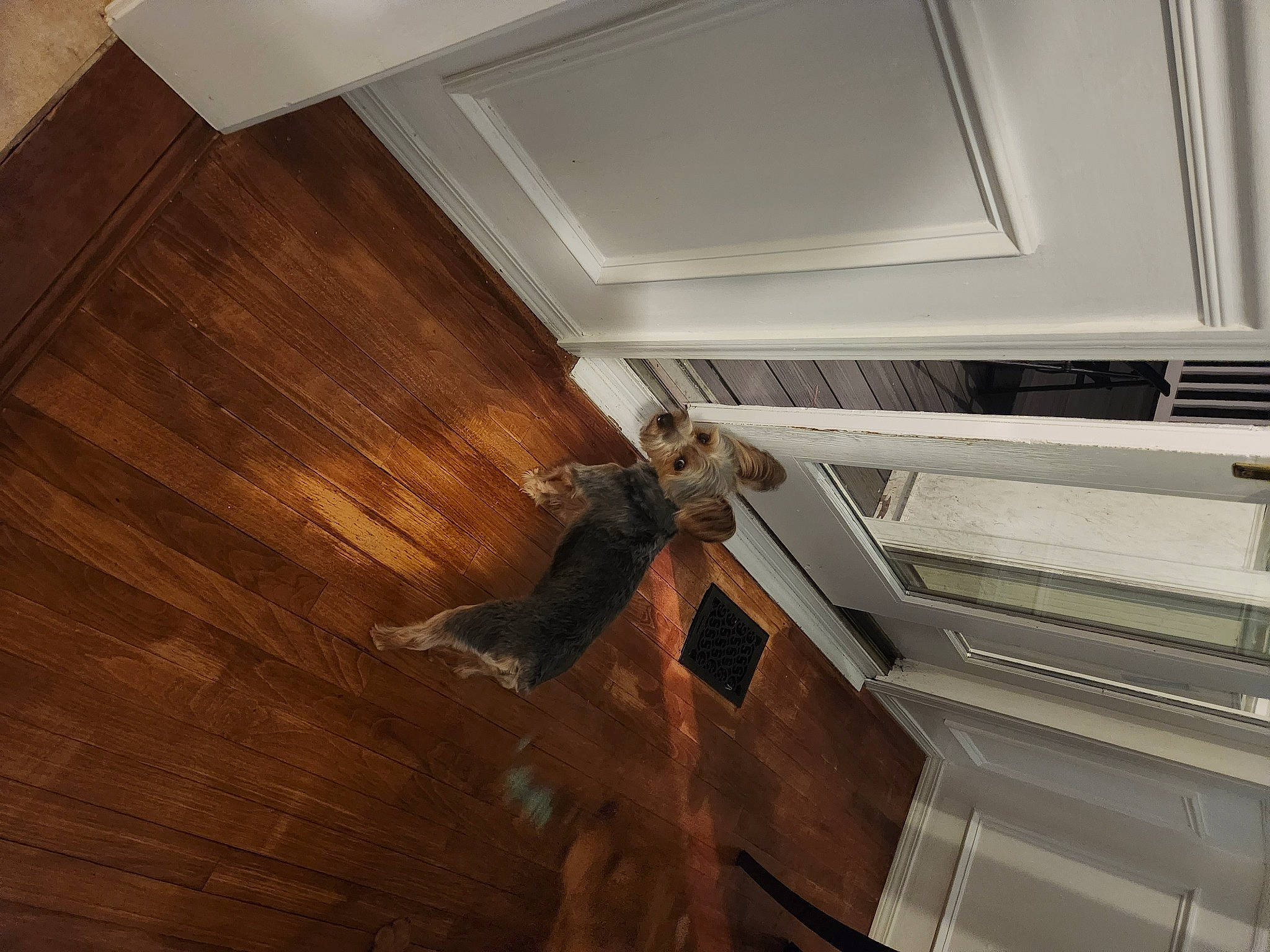 Storm is registered to the contest to win money with this photo: beam, building, ceiling, daylighting, fixture, flooring, handrail, hardwood, house, metal, molding, plank, plywood, roof, stairs, varnish, window, wood, wood_flooring, wood_stain