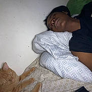 Duke joined the competition — help win amazing prizes! bed, bedding, blanket, cat, cat_face, closeup, cozy, home, human_face, indoor, nap, orange_cat, person, pet, pillow, portrait, resting, sheet, sleeping, wall