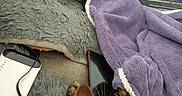 Noisette participe au concours pour gagner de l'argent avec cette photo : arm, blanket, blue_shirt, cat, charging_cable, closeup, cozy, feline, fur, gray_blanket, indoor, person, pet, purple_blanket, relaxation, resting, soft_texture, striped_shirt, tabby_cat, tablet