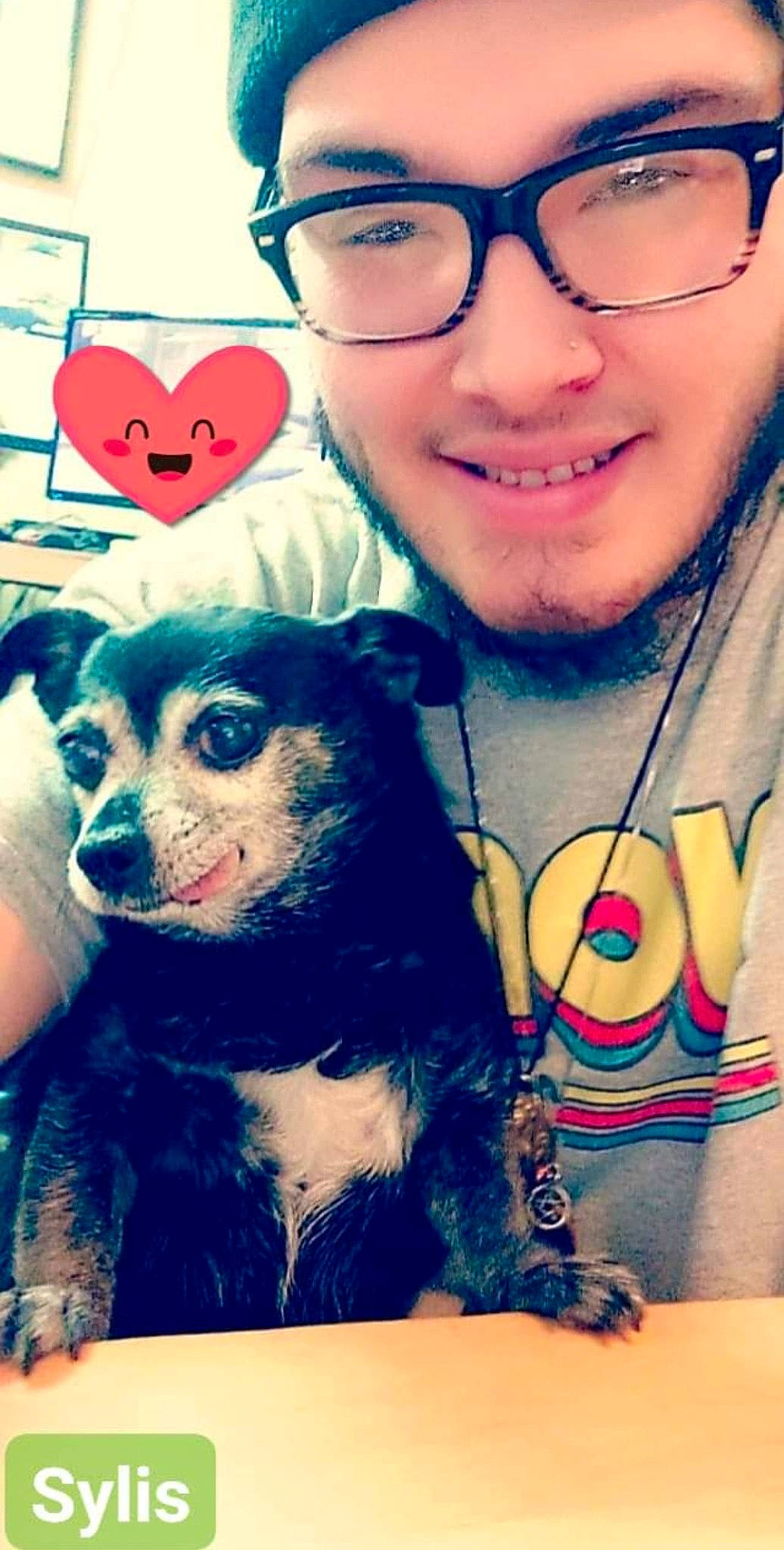 Sylis joined the competition — help win amazing prizes! blue, carnivore, companion_dog, cool, dog, dog_breed, eyewear, fawn, fun, fur, glasses, happy, organ, selfie, smile, snapshot, t_shirt, vision_care, whiskers, working_animal