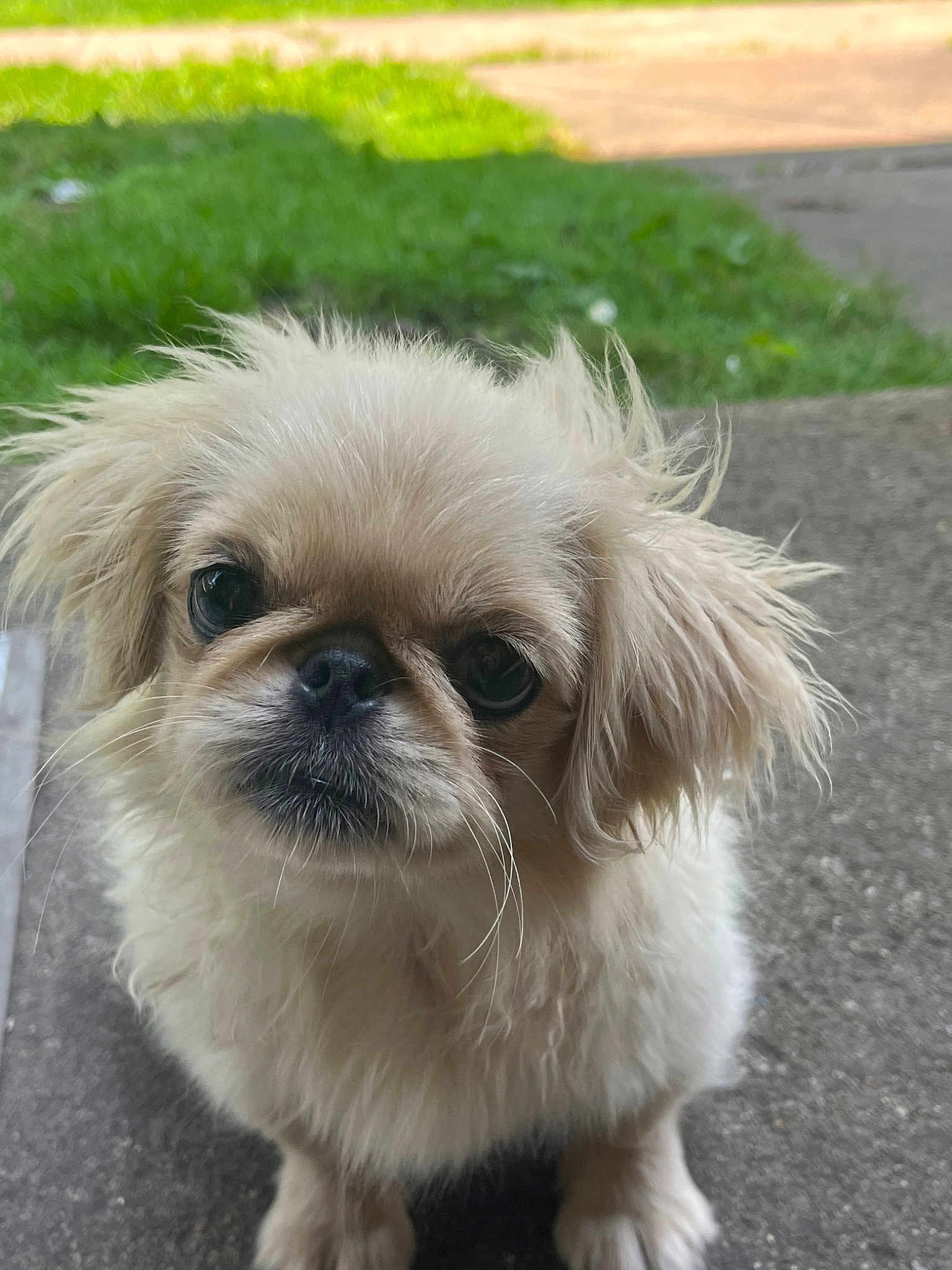 Betty