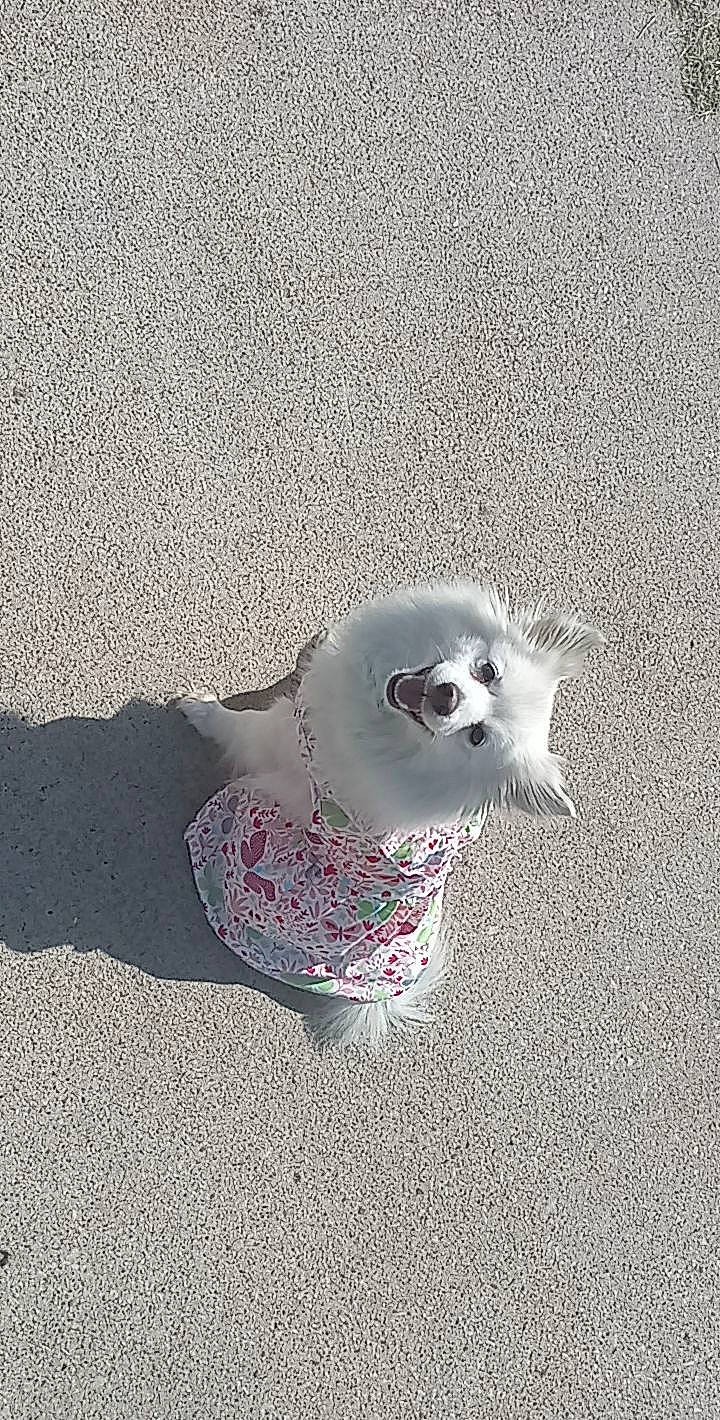 Casper is registered to the contest to win money with this photo: art, asphalt, bone, canidae, circle, eye, fashion_accessory, font, grey, head, human_body, jewellery, metal, monochrome, monochrome_photography, skull, still_life_photography, visual_arts, whiskers