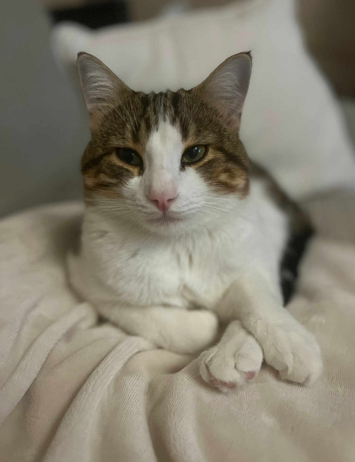 Sam