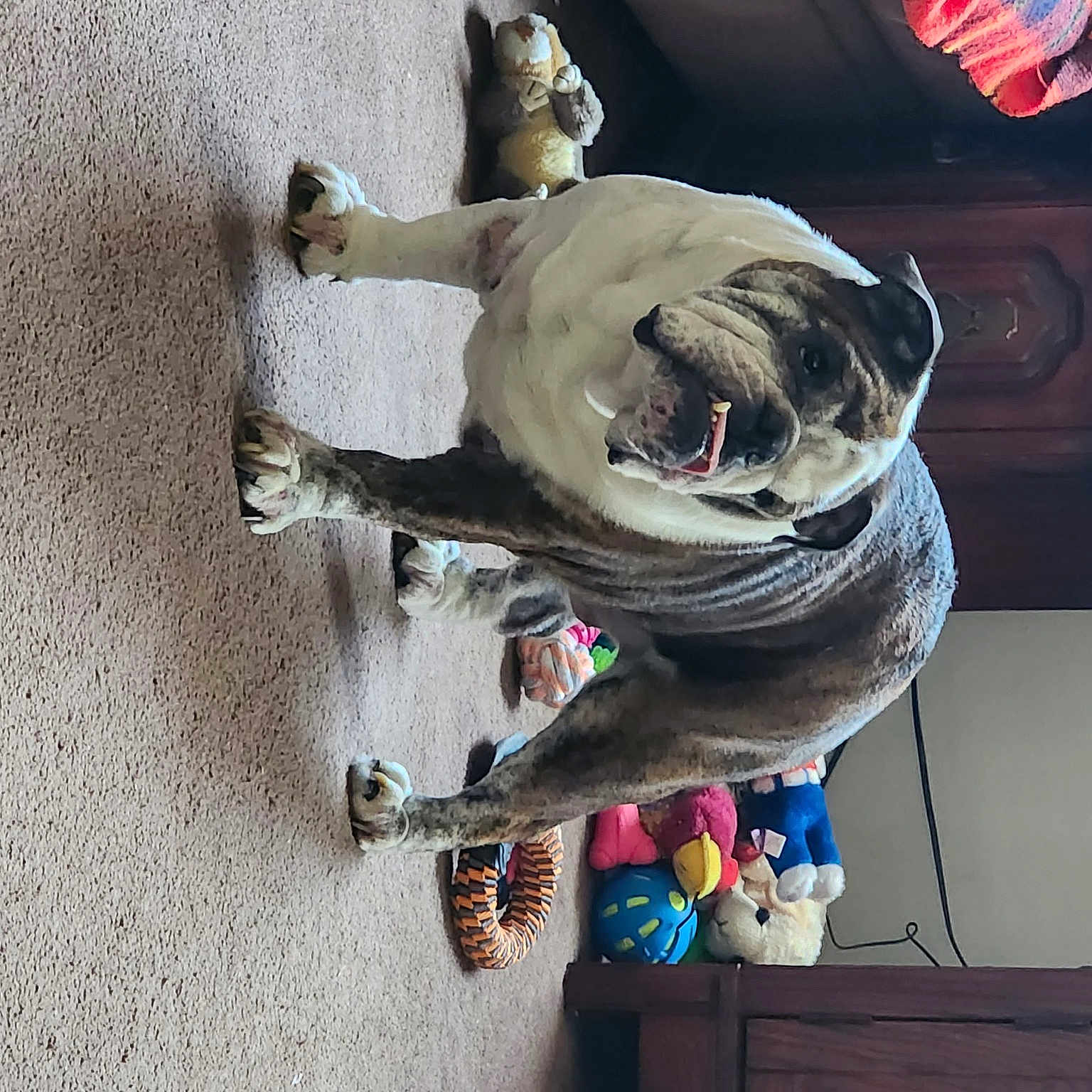 Dozer