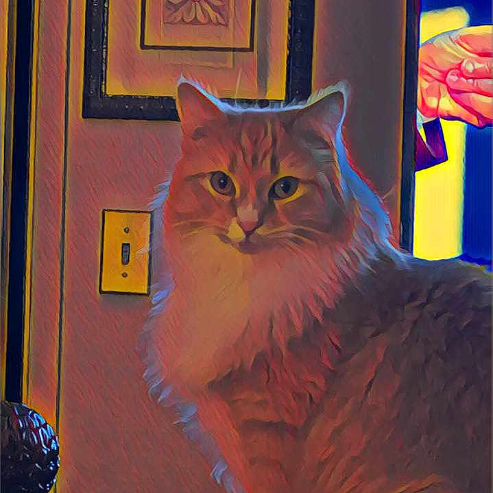 Fiona