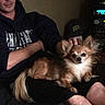 Rocky is registered to the contest to win money with this photo: animal, brown_and_white, casual, chihuahua, computer, dog, electronic_equipment, fluffy, hoodie, indoors, lap, long_hair, people, person, pet, portrait, selfie, sitting, small_dog, text_overlay