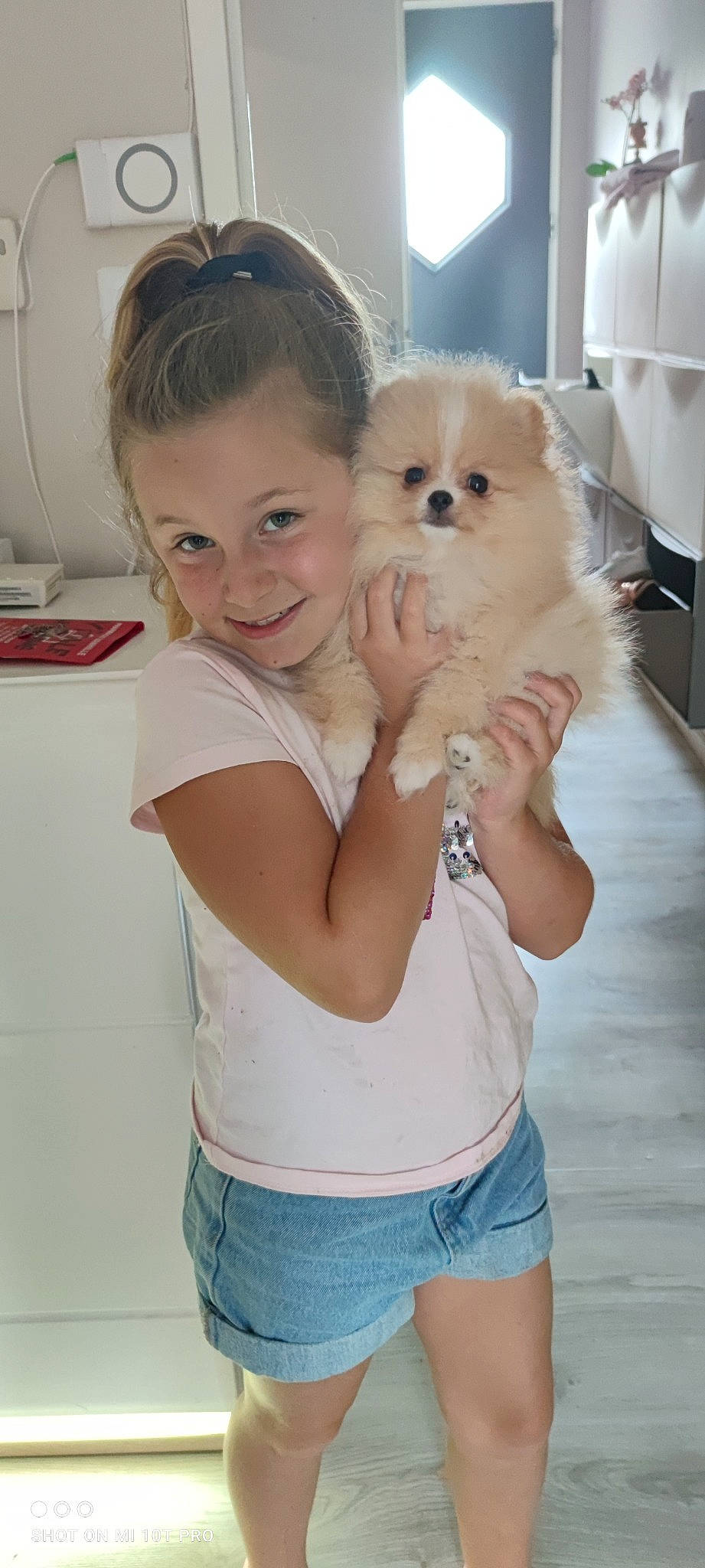 Myia a rejoint le concours — aidez-le/la à gagner de superbes lots ! abdomen, carnivore, companion_dog, dog, dog_breed, dog_supply, fawn, fur, german_spitz, gesture, hair, happy, joy, person, pomeranian, skin, smile, spitz, t_shirt, toy