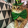 cat, orange_tabby, green_bow_tie, green_hat, leprechaun_hat, pet_costume, bedspread, patterned_bedspread, couch, pillow, geometric_pattern, man, relaxing, indoor, close_up, pet, animal, cute, holiday_costume, portrait