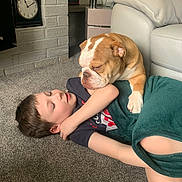 Aurora is registered to the contest to win money with this photo: boy, dog, bulldog, carpet, blanket, indoor, sofa, clock, brick_wall, child, pet, resting, tender_moment, home, furniture, casual_clothing, relaxing, brown_white_dog, young_child, comfort
