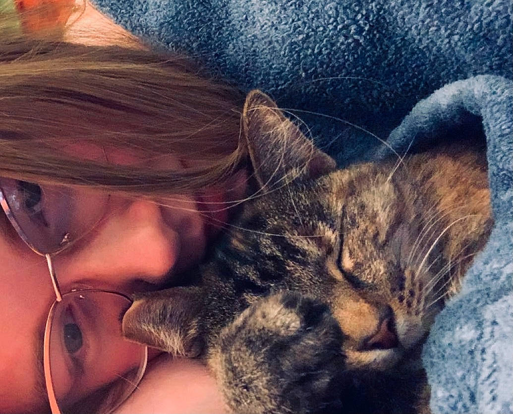 Lily Bear is registered to the contest to win money with this photo: carnivore, cat, cloud, comfort, cool, ear, eyelash, eyewear, felidae, fur, gesture, glasses, goggles, happy, jaw, nose, small_to_medium_sized_cats, snout, sunglasses, whiskers