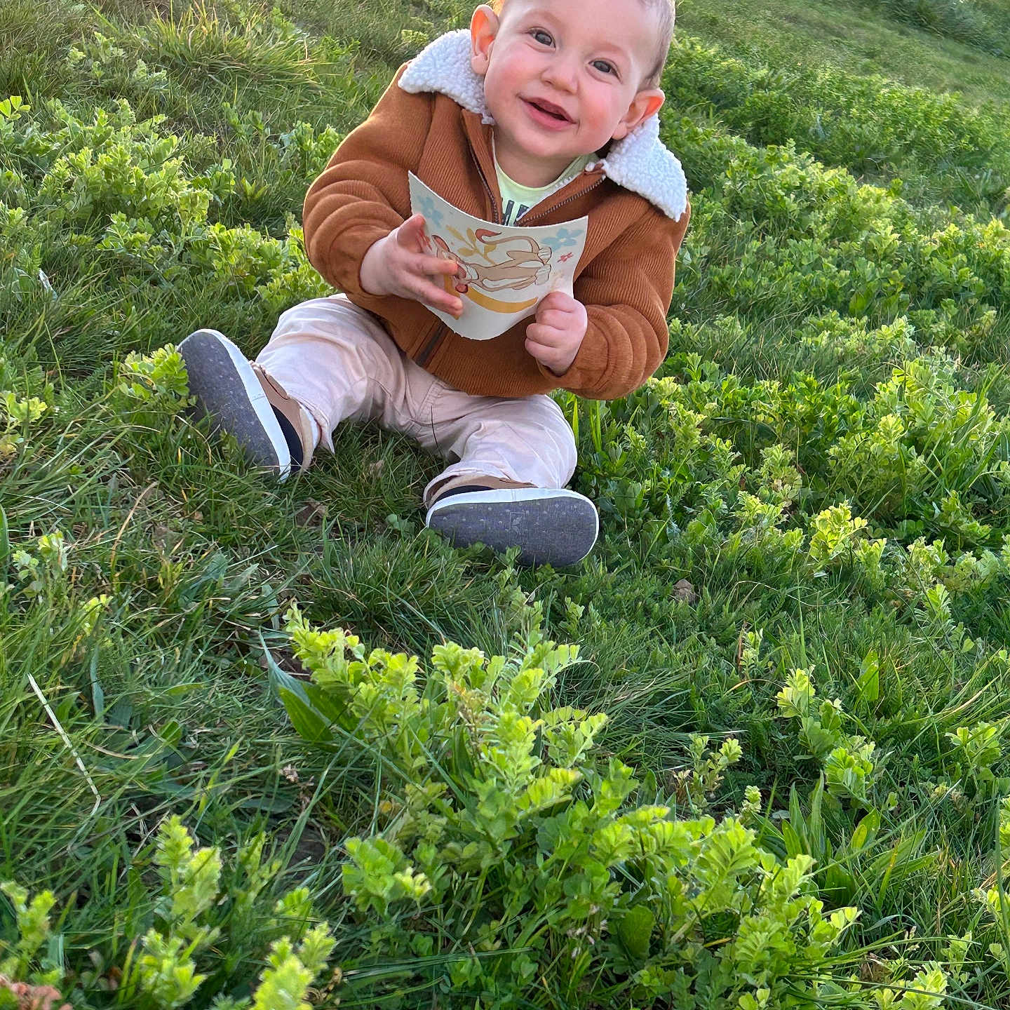Lucas participe au concours pour gagner de l'argent avec cette photo : baby, clothing, coat, face, field, grass, grassland, head, herbal, herbs, jacket, nature, outdoors, pants, person, photography, plant, portrait, sitting, soil