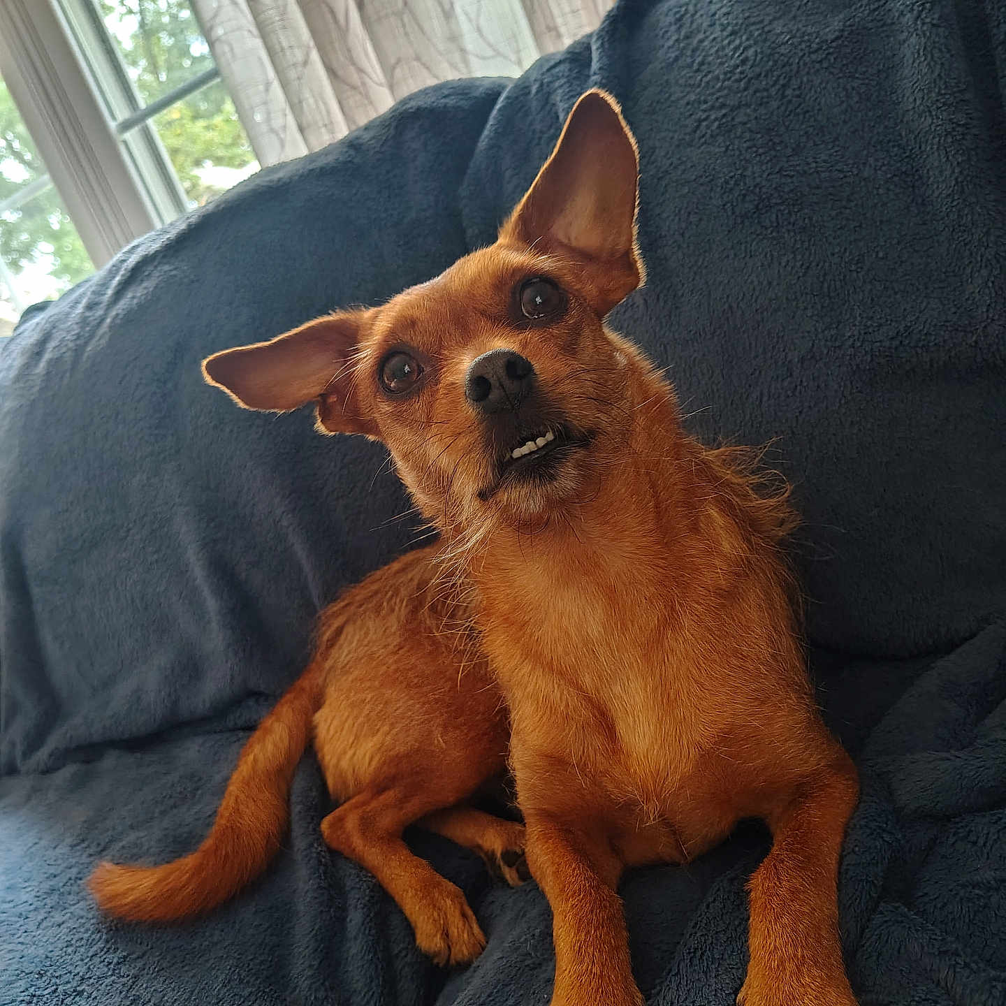 Max