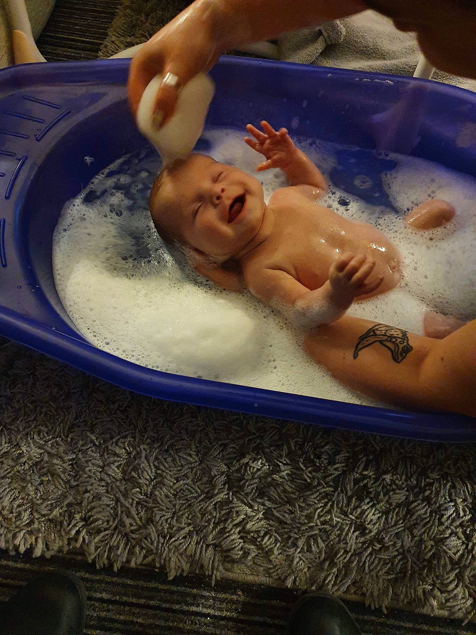 Connie joined the competition — help win amazing prizes! arm, baby, bathing, cheek, chest, eye, eyebrow, face, finger, fluid, hair, hand, head, human_body, leisure, person, skin, smile, swimming_pool, toddler
