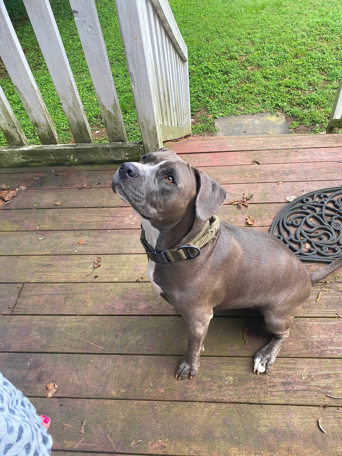 Winnie