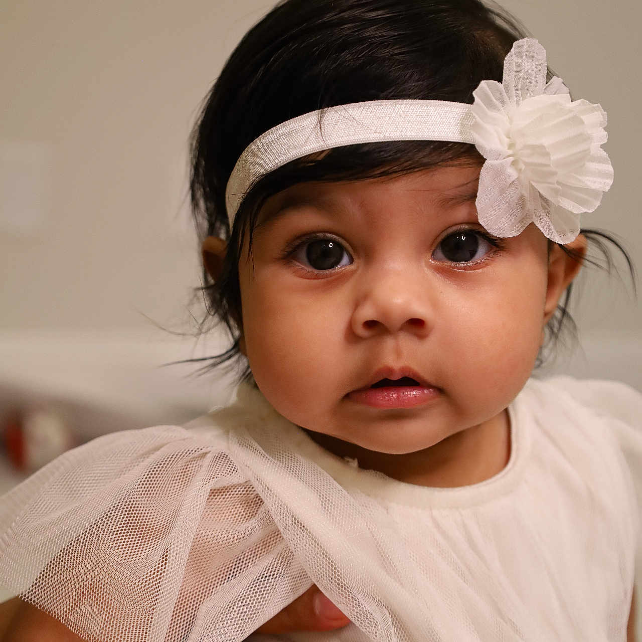 Neehitha Sanvi is registered to the contest to win money with this photo: accessories, baby, blackhair, bodypart, clothing, dress, eveningdress, face, finger, flower, formalwear, frown, hair, hand, head, headband, person, photography, plant, portrait