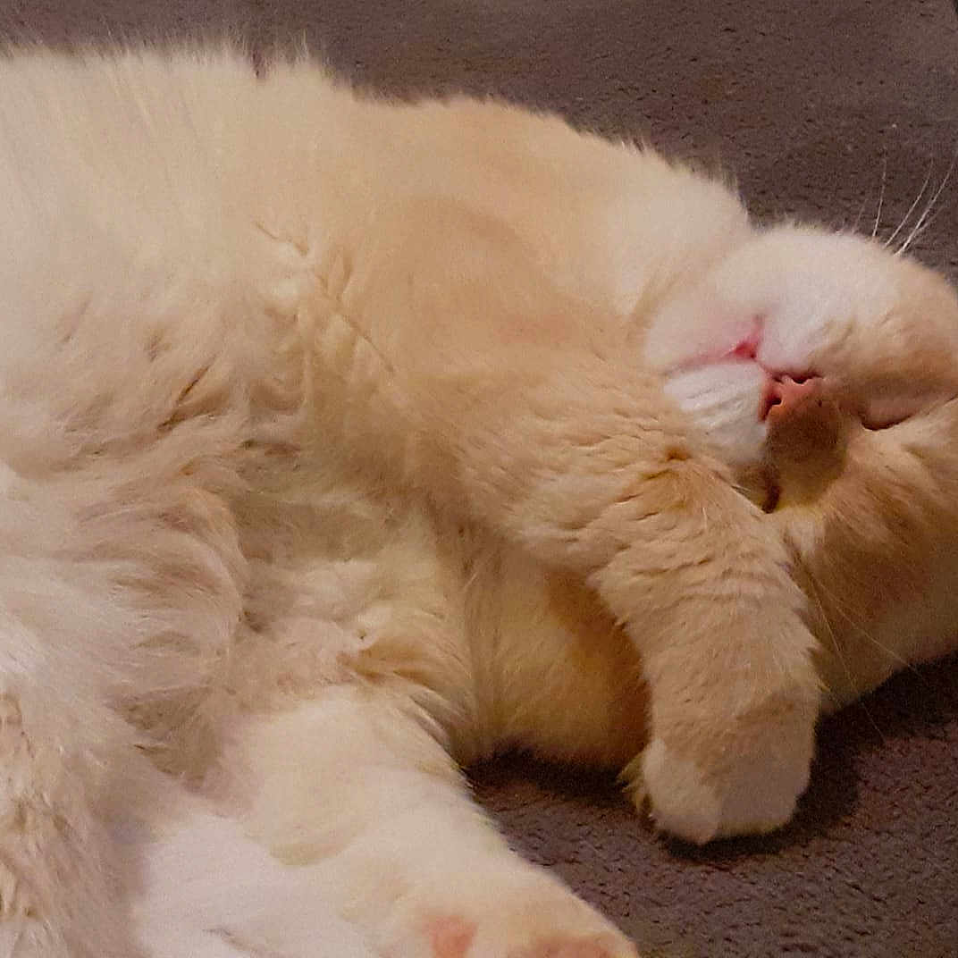 Marty