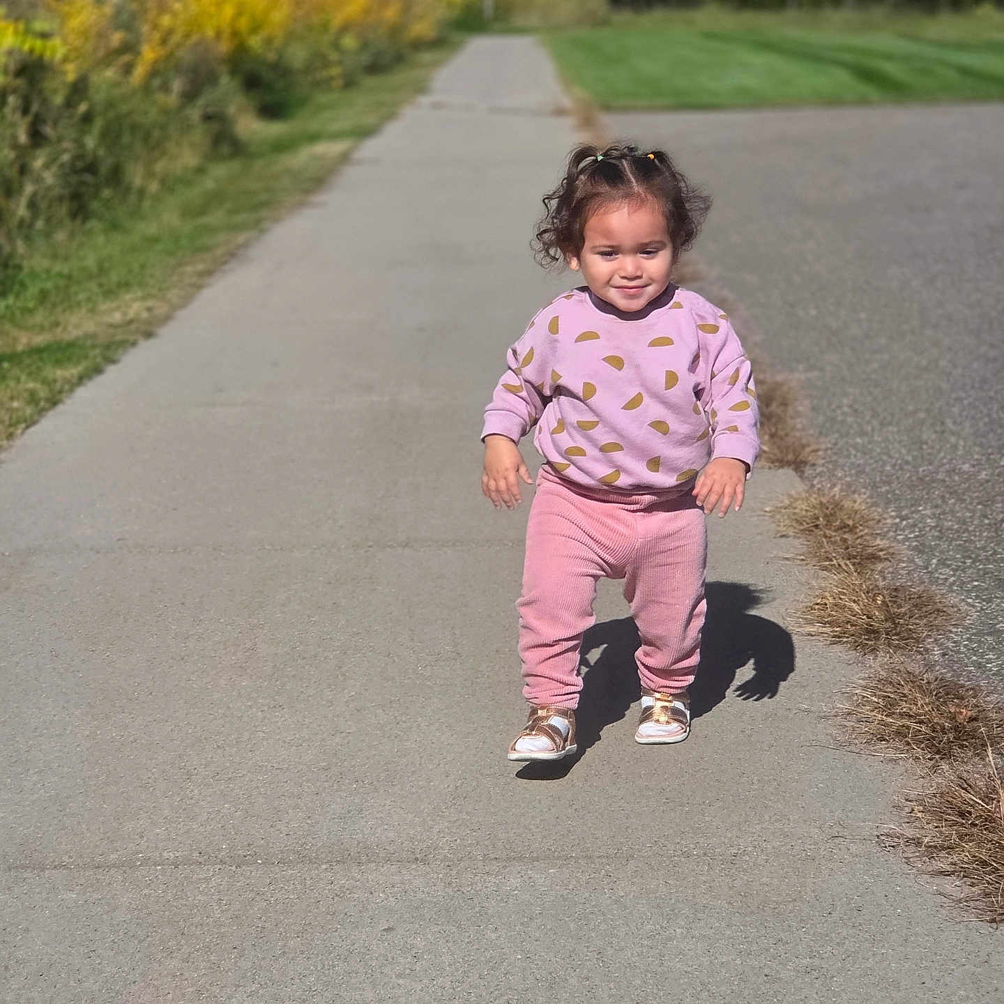 Emma joined the competition — help win amazing prizes! child, toddler, girl, walking, outdoor, sidewalk, path, autumn, trees, greenery, grass, pink_clothing, patterned_shirt, pants, shoes, curly_hair, pigtails, portrait, daylight, shadow