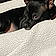 Bruno