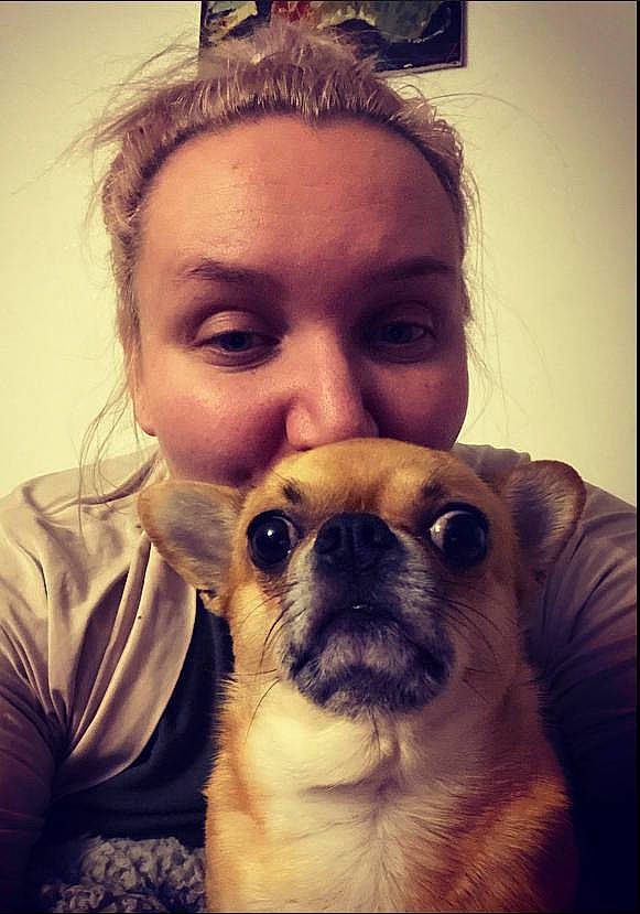 Cheeky is registered to the contest to win money with this photo: carnivore, companion_dog, cool, dog, dog_breed, ear, eye, eyebrow, eyelash, fawn, flash_photography, hair, happy, head, nose, organ, pug, skin, toy_dog, whiskers