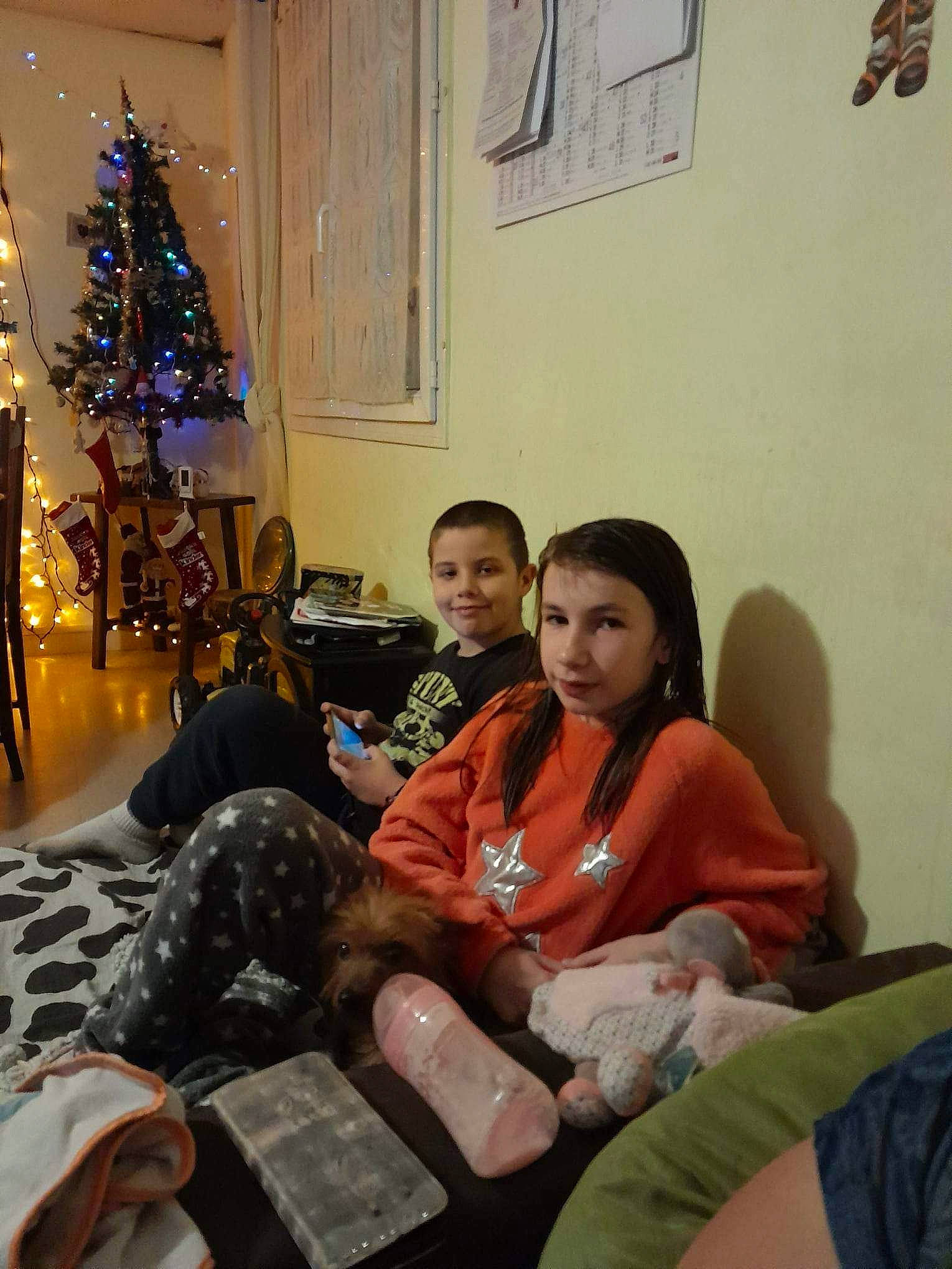 Melody participe au concours pour gagner de l'argent avec cette photo : christmas, christmas_eve, christmas_ornament, christmas_tree, comfort, event, fun, happy, holiday, holiday_ornament, joy, lap, leisure, living_room, luggage_and_bags, ornament, person, picture_frame, room, sitting