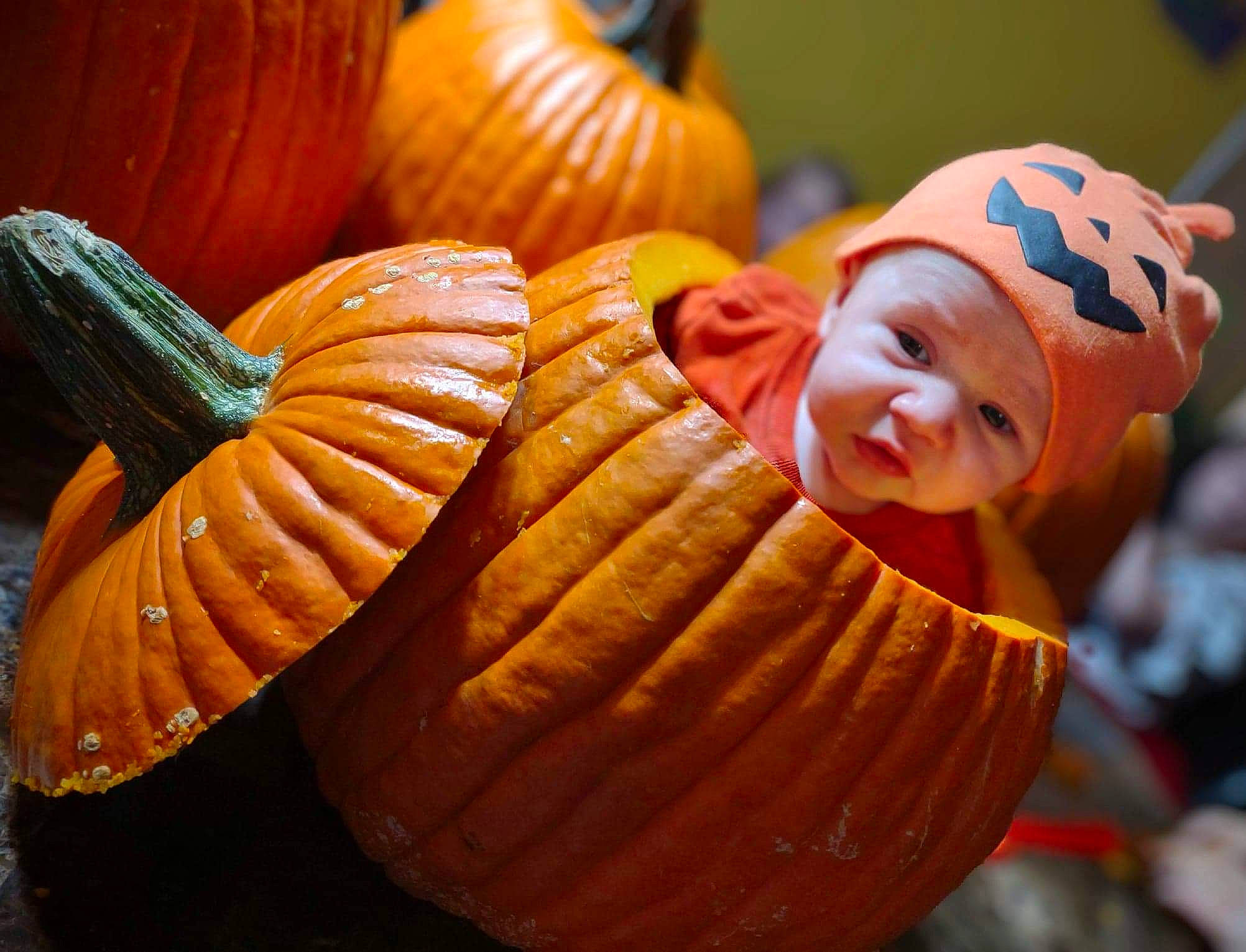 Huntley joined the competition — help win amazing prizes! art, calabaza, carving, cucurbita, eye, fun, gourd, happy, headwear, leaf, natural_foods, orange, organism, person, plant, produce, pumpkin, squash, tree, vegetable