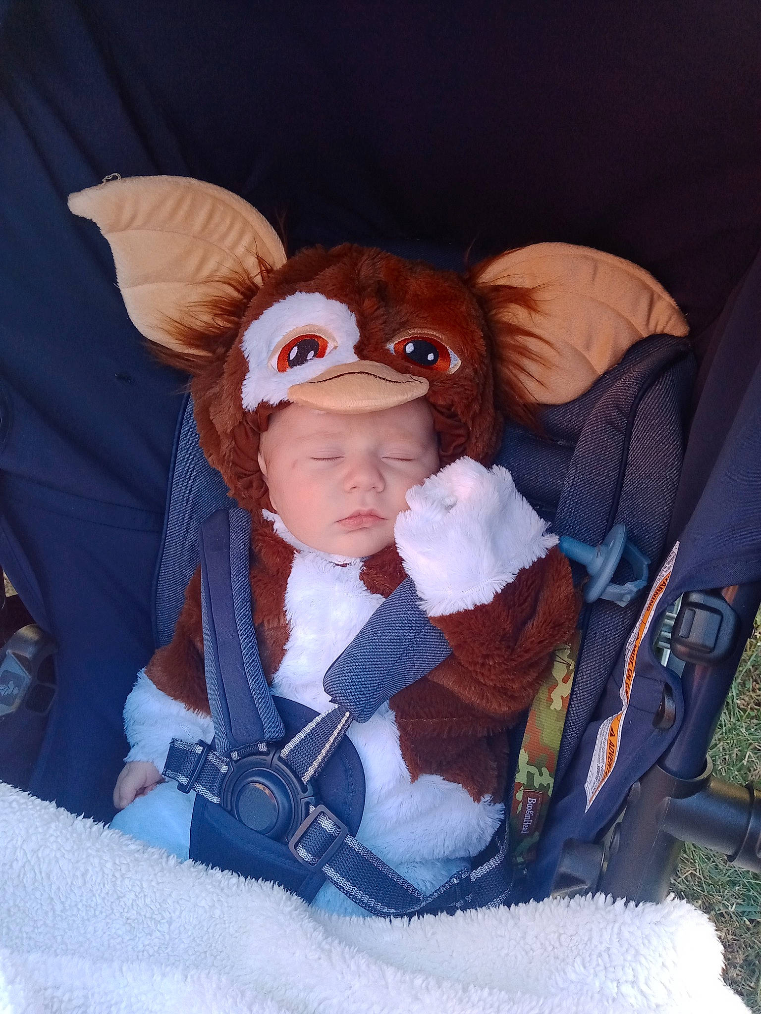 Huntley joined the competition — help win amazing prizes! baby, baby_carriage, baby_products, baby_safety, baby_toddler_clothing, baby_toys, car_seat, child, comfort, costume_hat, doll, eye, fun, fur, hat, headwear, iris, person, sitting, sleeve
