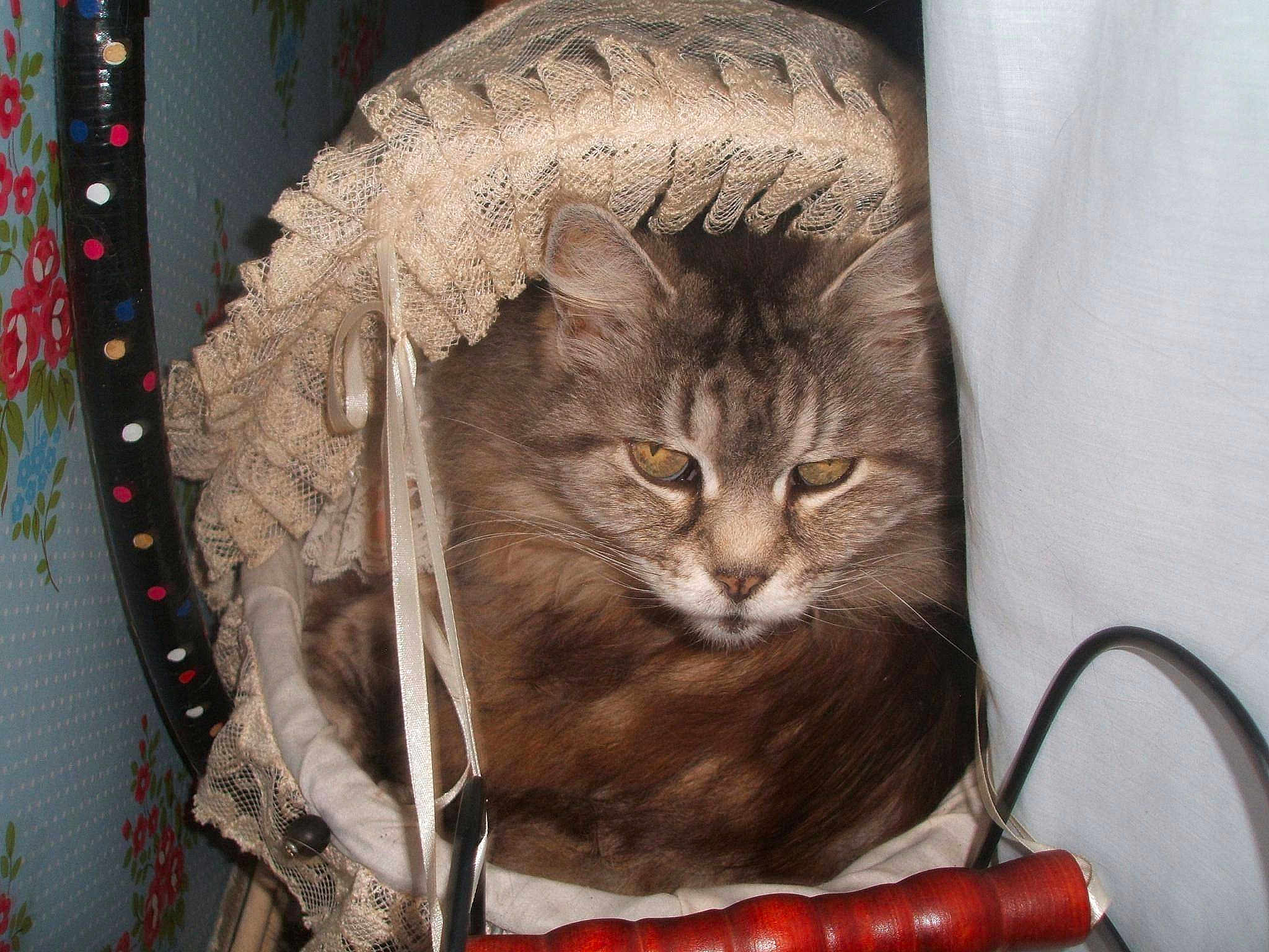 Mouquette