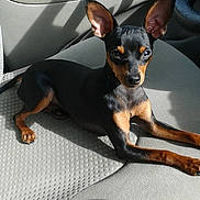 Fiasko participe au concours pour gagner de l'argent avec cette photo :