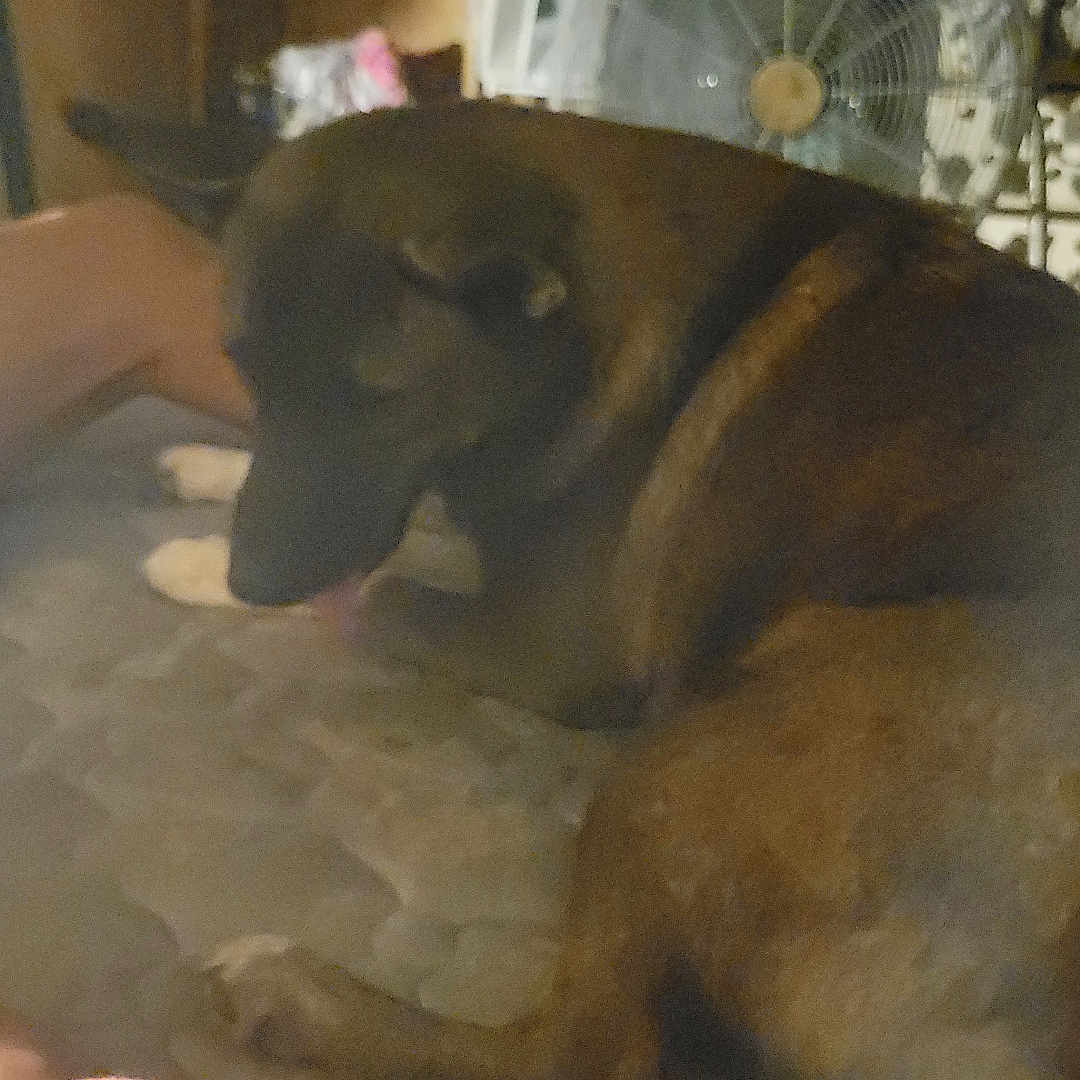 Luna