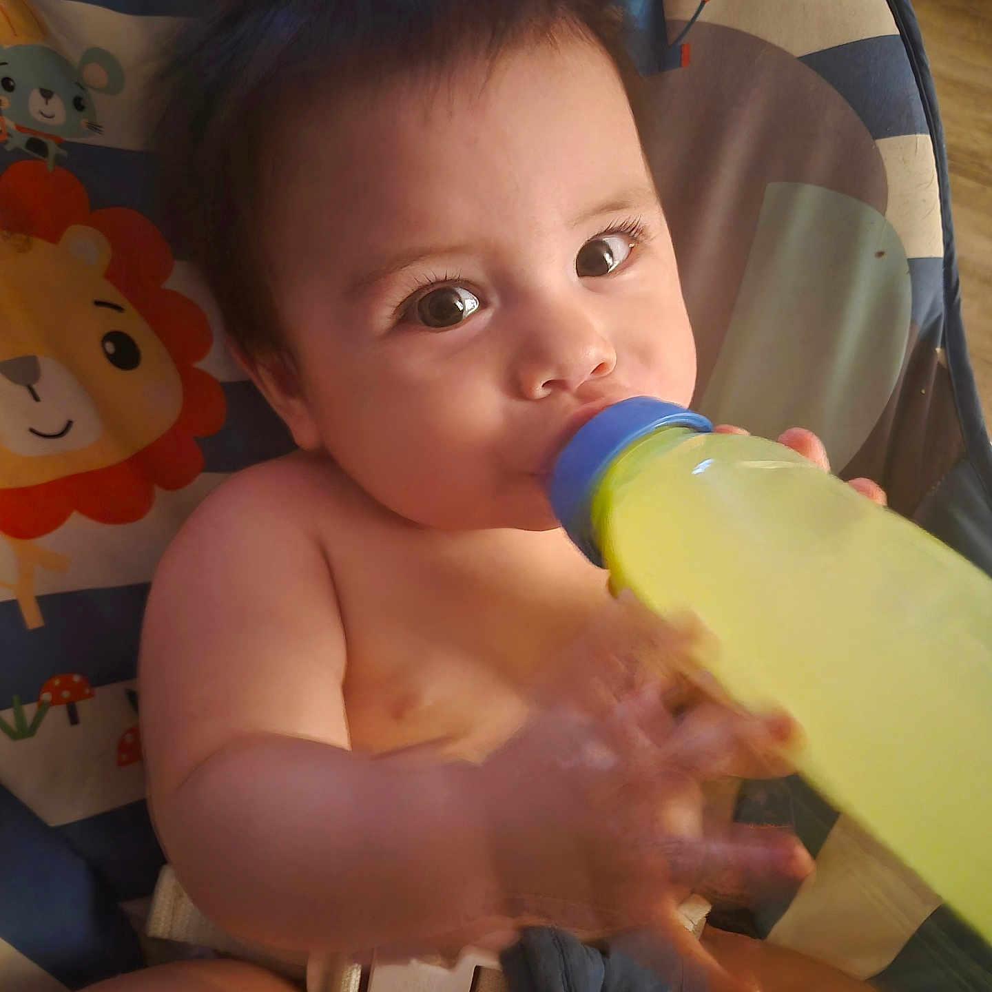 Juan Carlos joined the competition — help win amazing prizes! baby, infant, child, bottle, feeding, drinking, seated, highchair, portrait, face, eyes, hands, arms, legs, blanket, colorful, indoor, close_up, baby_seat, adorable