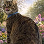 animal, background_blur, cat, collar, cute, daylight, ears, flowers, fur, garden, greenery, looking_away, mammal, nature, outdoor, pet, sitting, tabby, tongue_out, whiskers