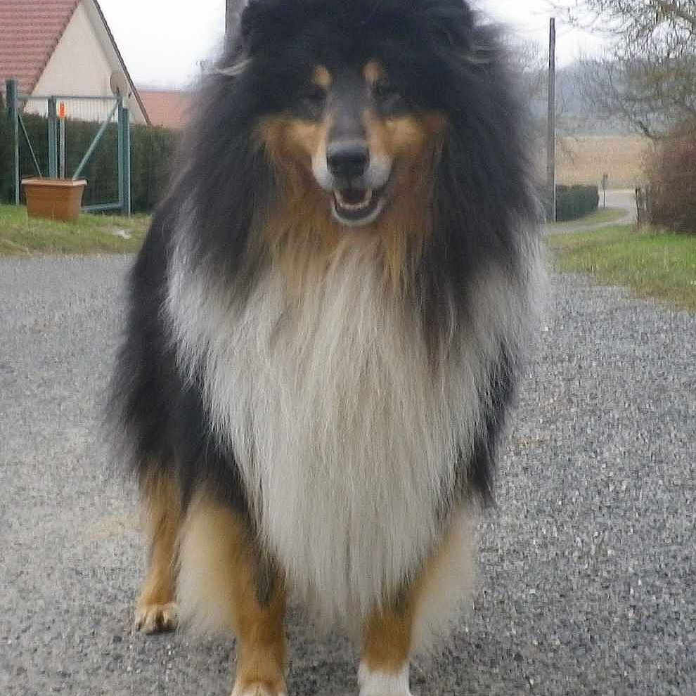 Eragon of lovely col