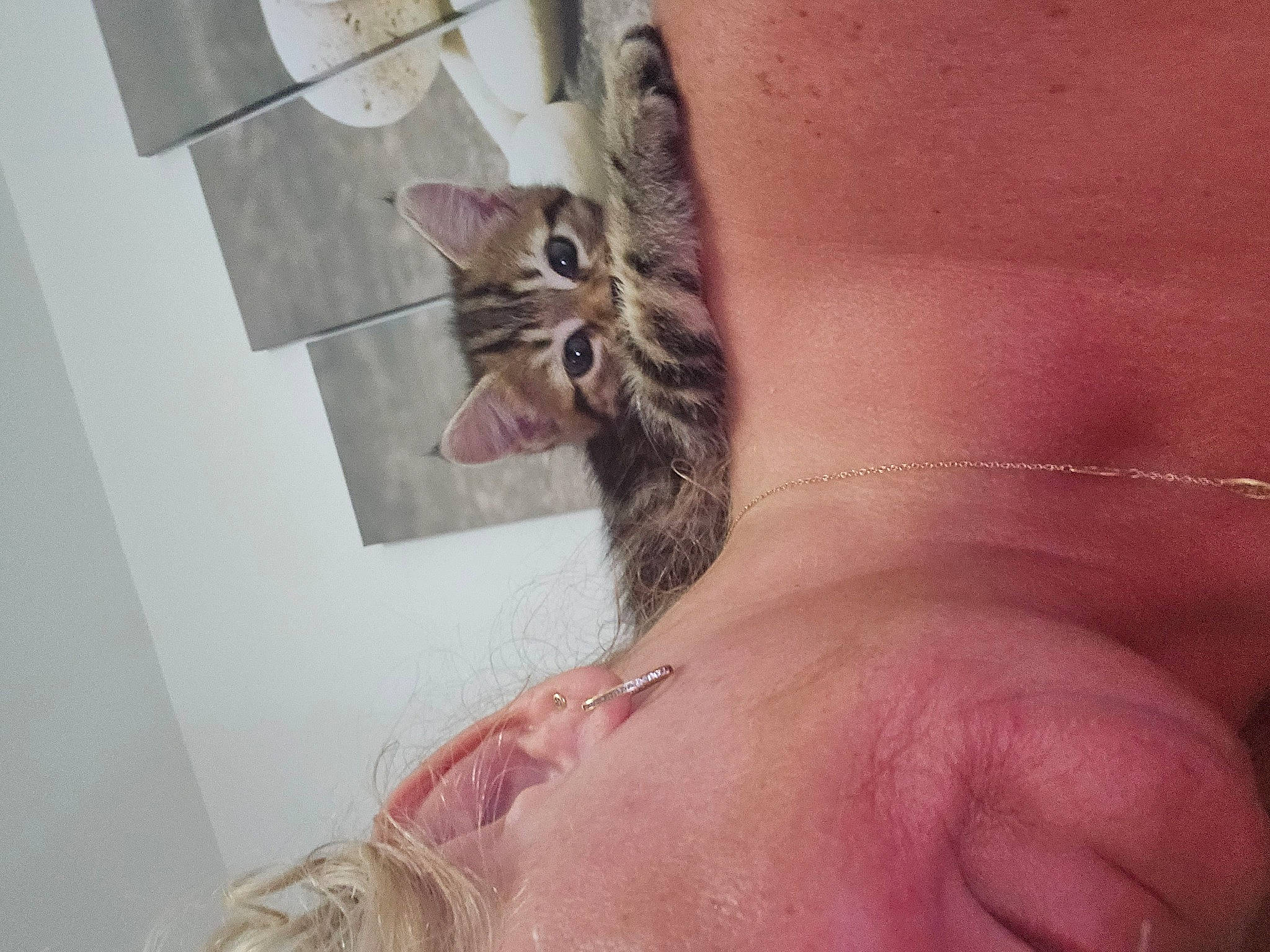 Bengale'S a rejoint le concours — aidez-le/la à gagner de superbes lots ! abdomen, beard, cat, chest, eyelash, feather, felidae, flesh, fur, human_leg, neck, paw, plant, small_to_medium_sized_cats, tattoo, temporary_tattoo, thigh, trunk, whiskers, wrist