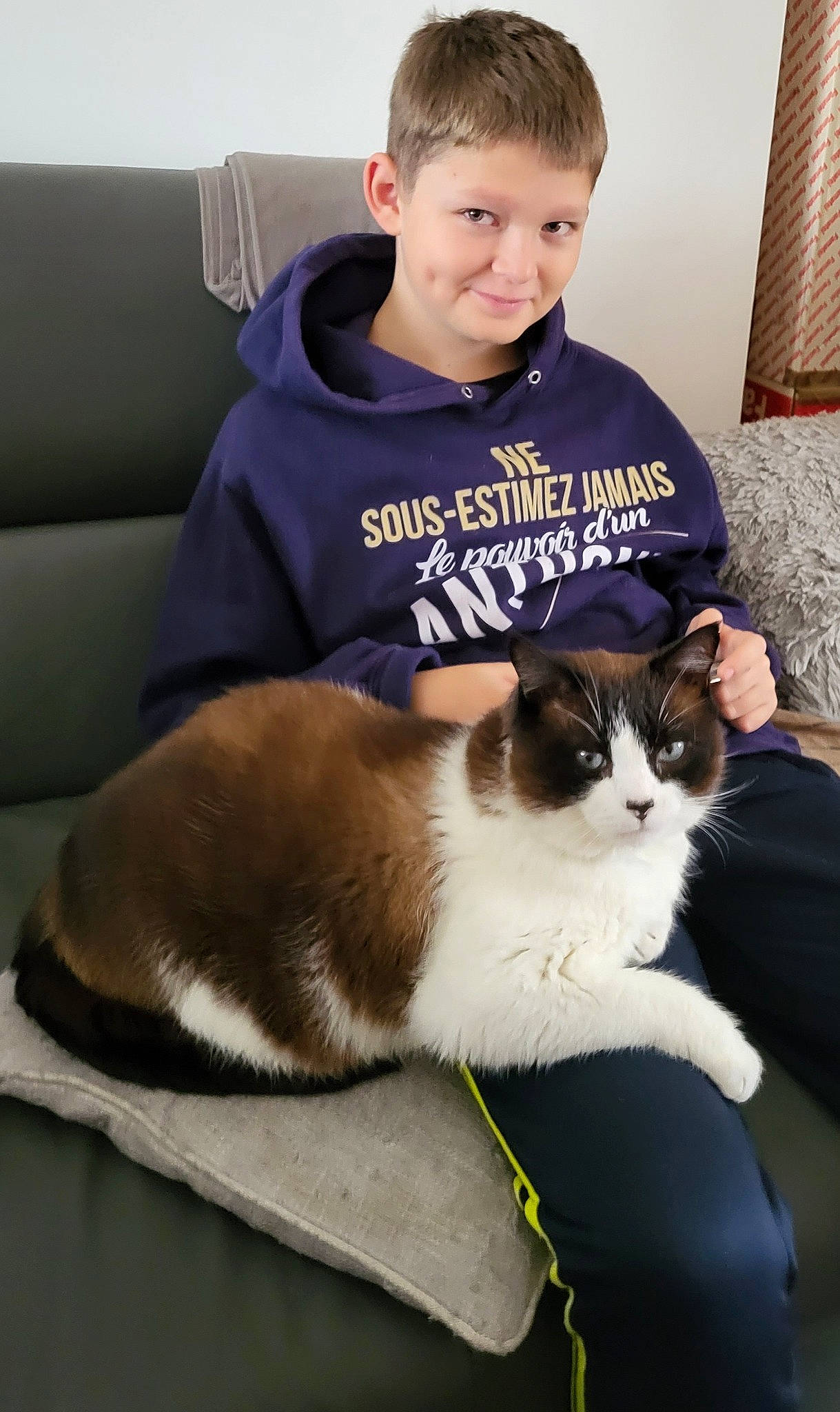 Mickey participe au concours pour gagner de l'argent avec cette photo : carnivore, cat, chair, comfort, companion_dog, couch, curtain, domestic_short_haired_cat, eye, fawn, felidae, formal_wear, fur, lap, sitting, small_to_medium_sized_cats, smile, t_shirt, tail, whiskers