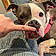 Willa Girl