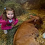 Kenzie joined the competition — help win amazing prizes! child, girl, calf, animal, hay, barn, pink_jacket, hair_clip, curly_hair, smile, crouching, brown, resting, farm, straw, wooden_wall, indoors, cute, young, pet