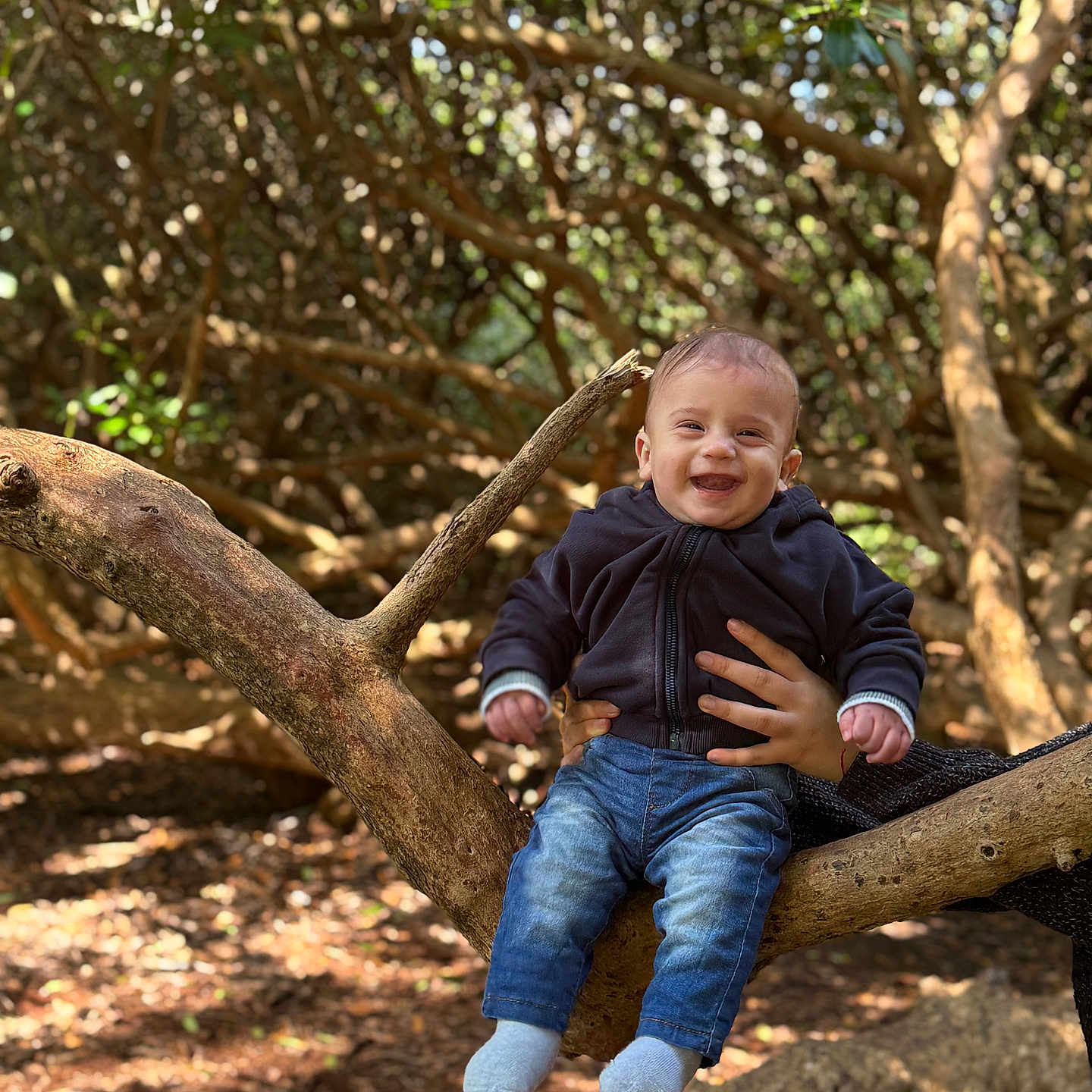 Matias is registered to the contest to win money with this photo: clothing, face, grass, grove, head, jeans, land, nature, outdoors, pants, park, person, photography, plant, portrait, sitting, tree, vegetation, wood, woodland