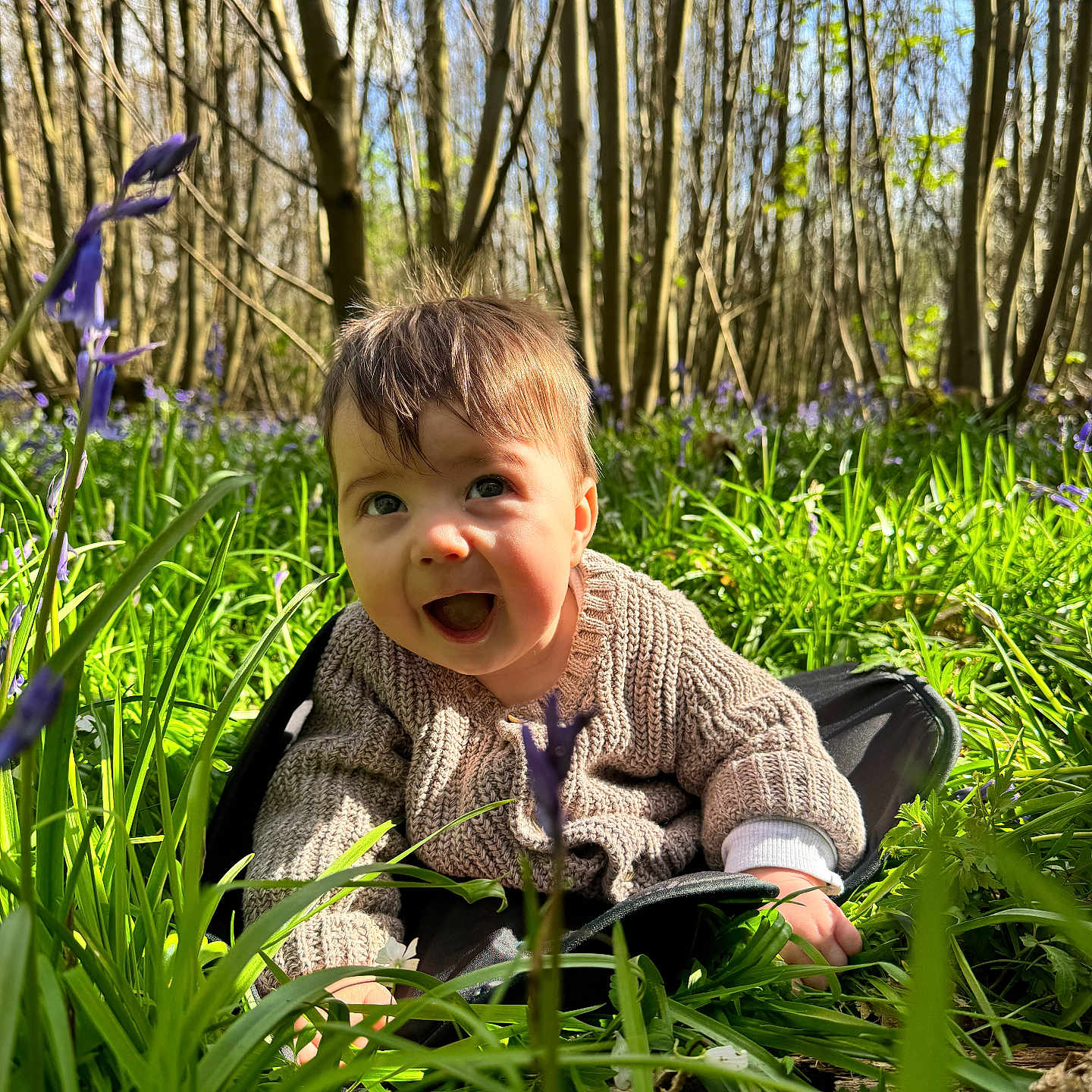 Brody is registered to the contest to win money with this photo: baby, clothing, face, field, grass, grassland, grove, head, herbal, herbs, land, nature, outdoors, person, photography, plant, portrait, tree, vegetation, woodland