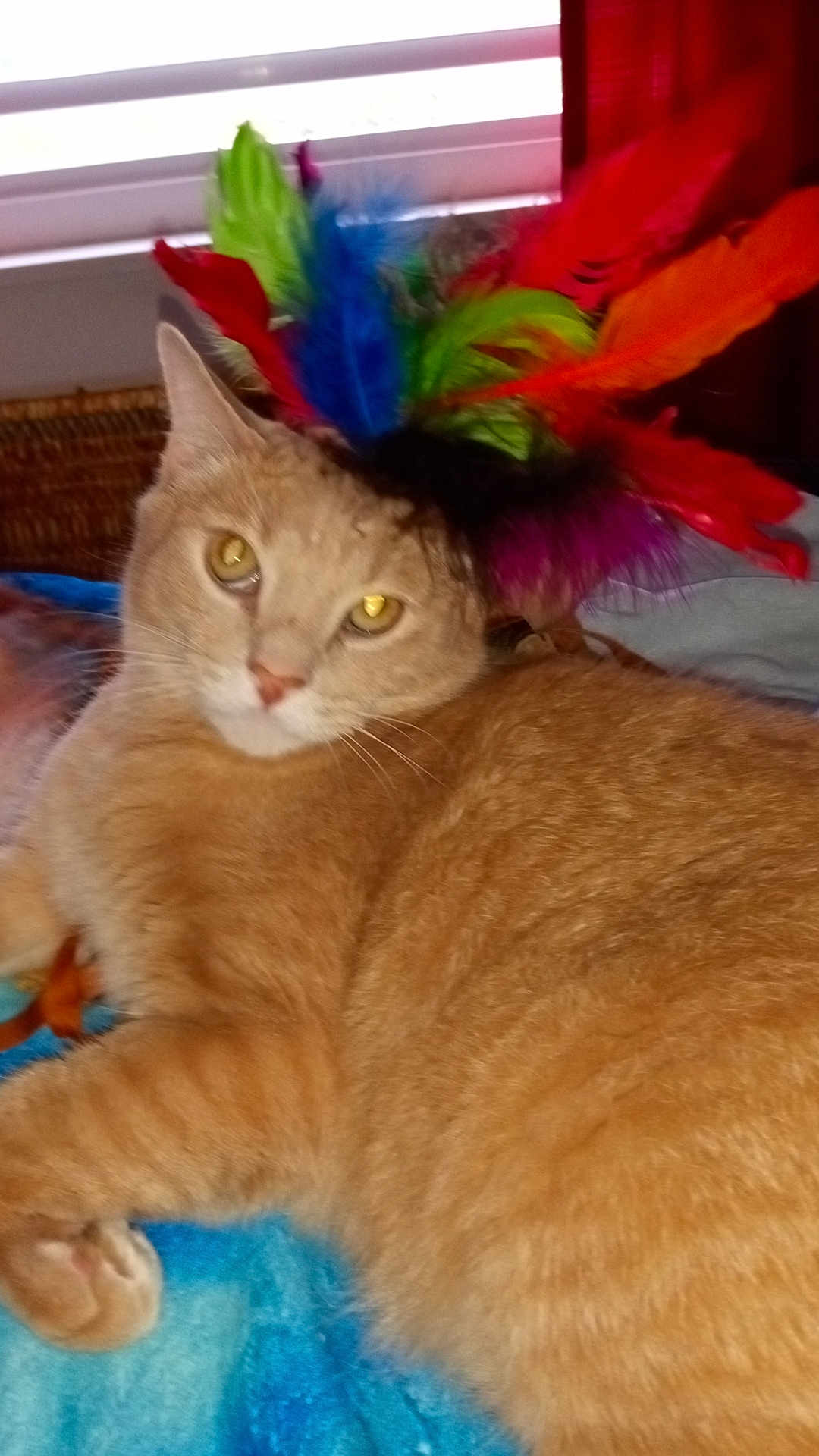Simba Miner