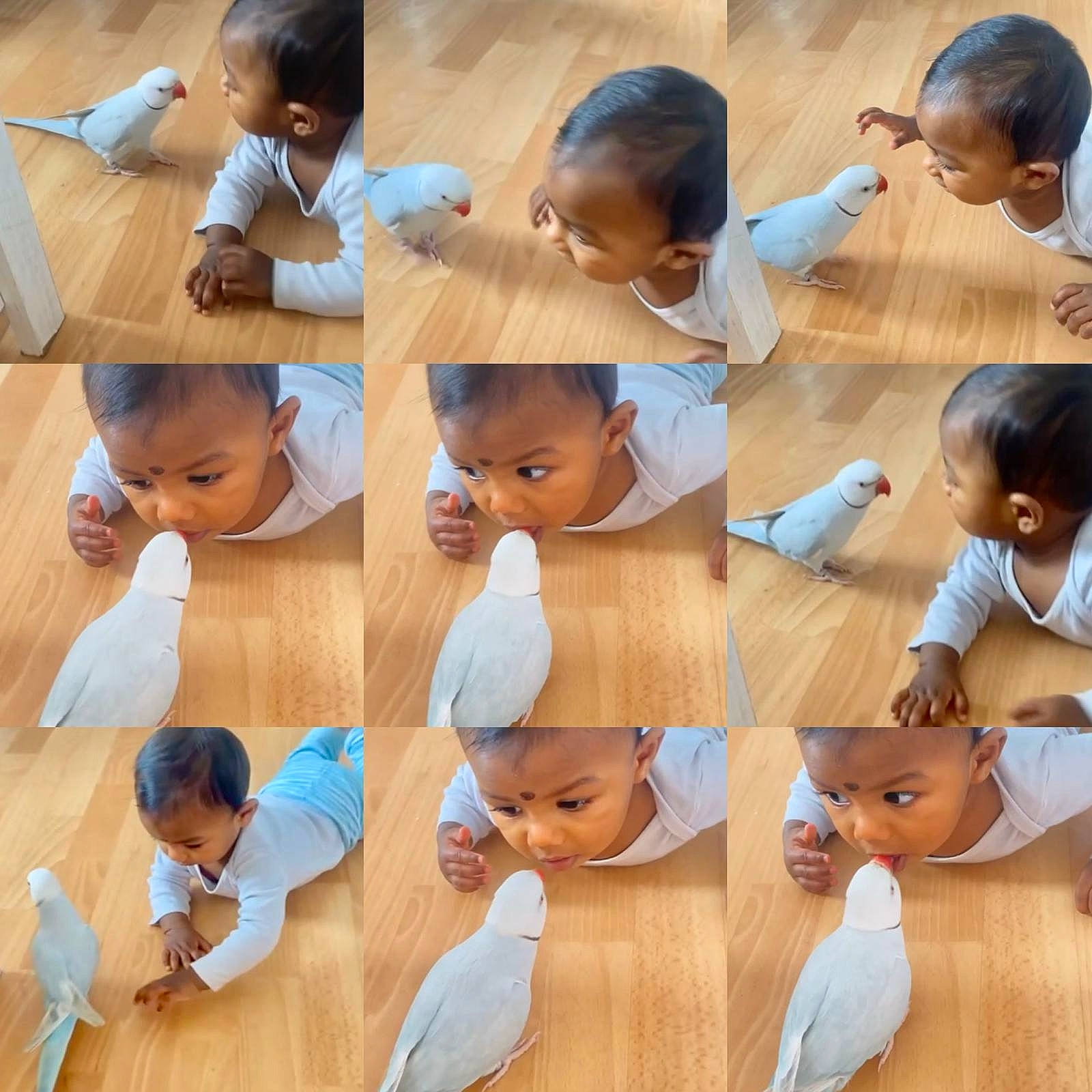 Arjun participe au concours pour gagner de l'argent avec cette photo : arm, chin, facial_expression, finger, flooring, hair, hairstyle, hand, happy, head, joint, mammal, neck, person, photograph, product, skin, sleeve, vertebrate, white