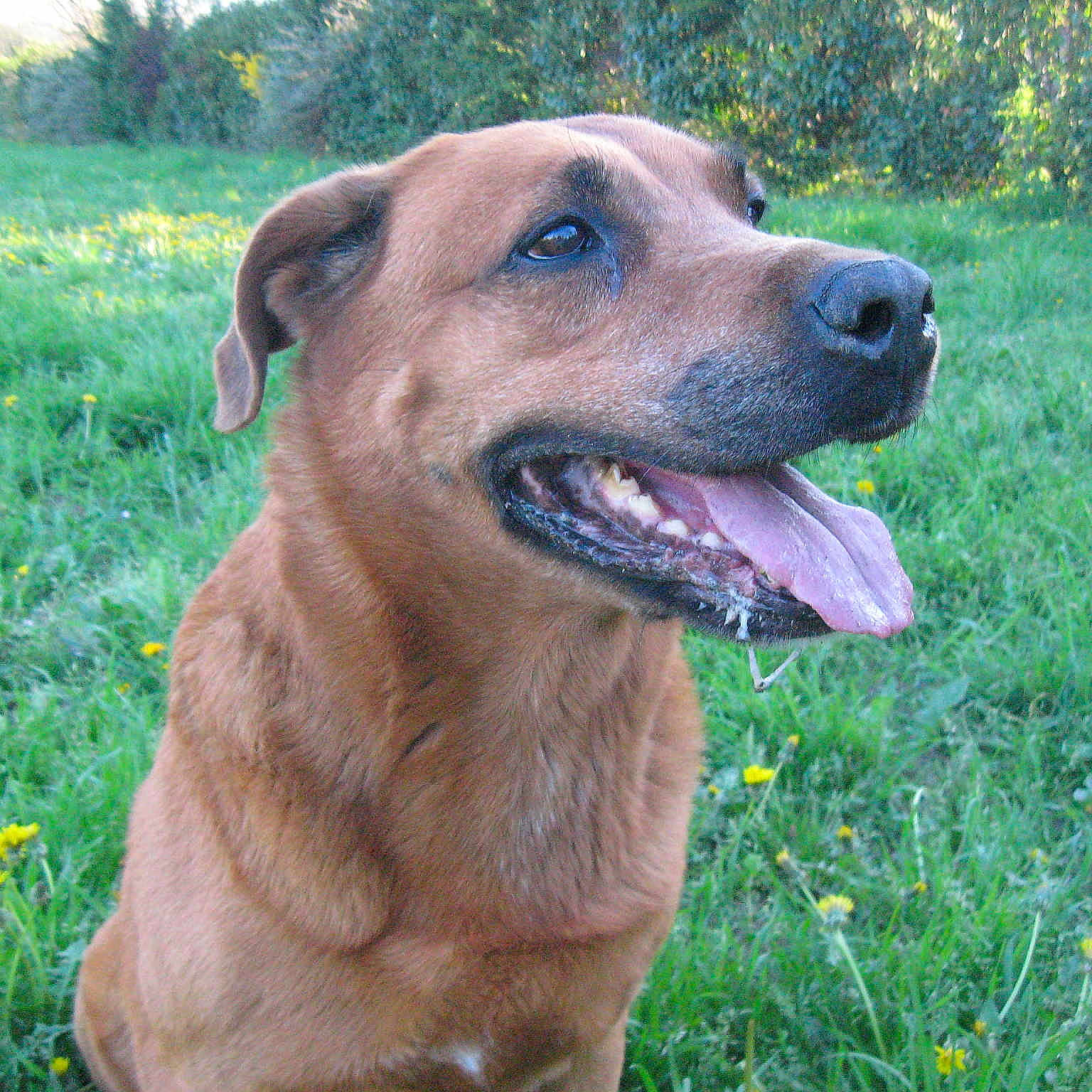 Kenny a rejoint le concours — aidez-le/la à gagner de superbes lots !